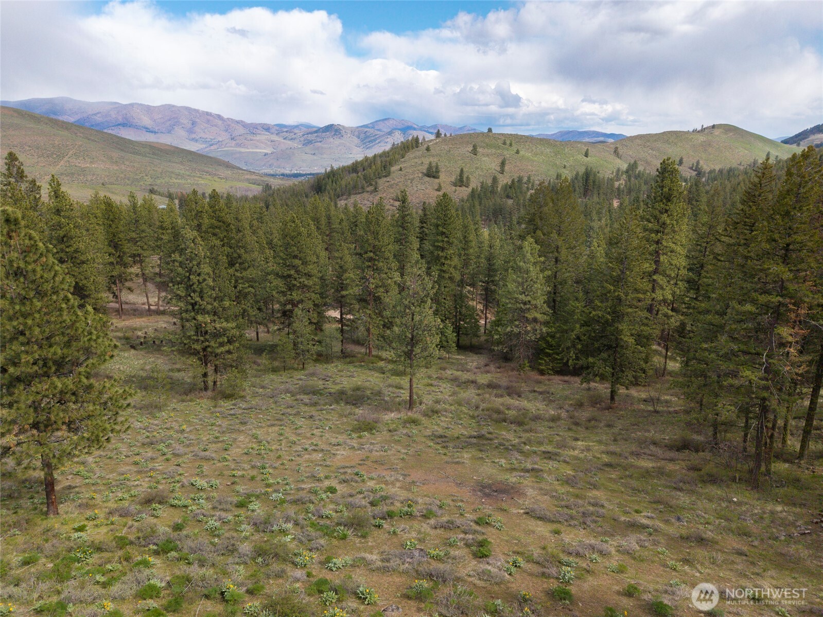 9 Whitebark Lane Property Photo 2