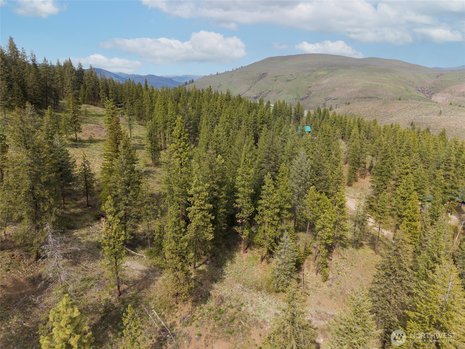 9 Whitebark Lane Property Photo 3