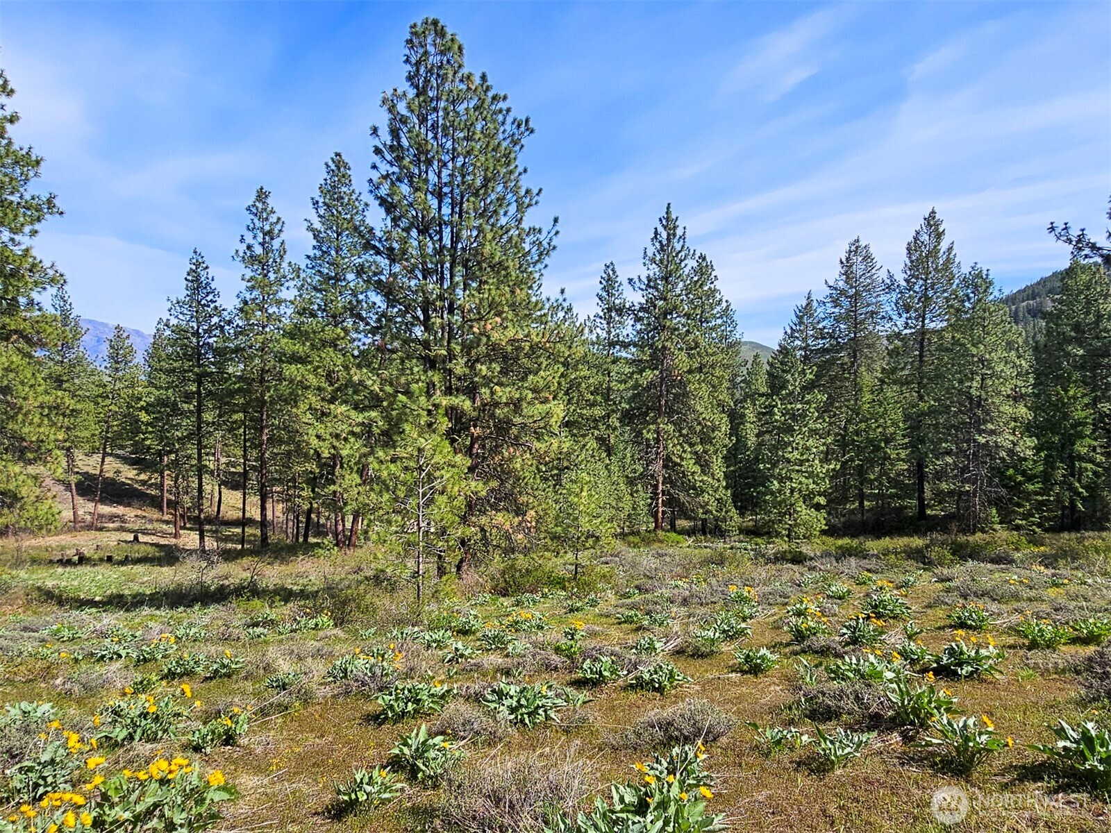 9 Whitebark Lane Property Photo 8