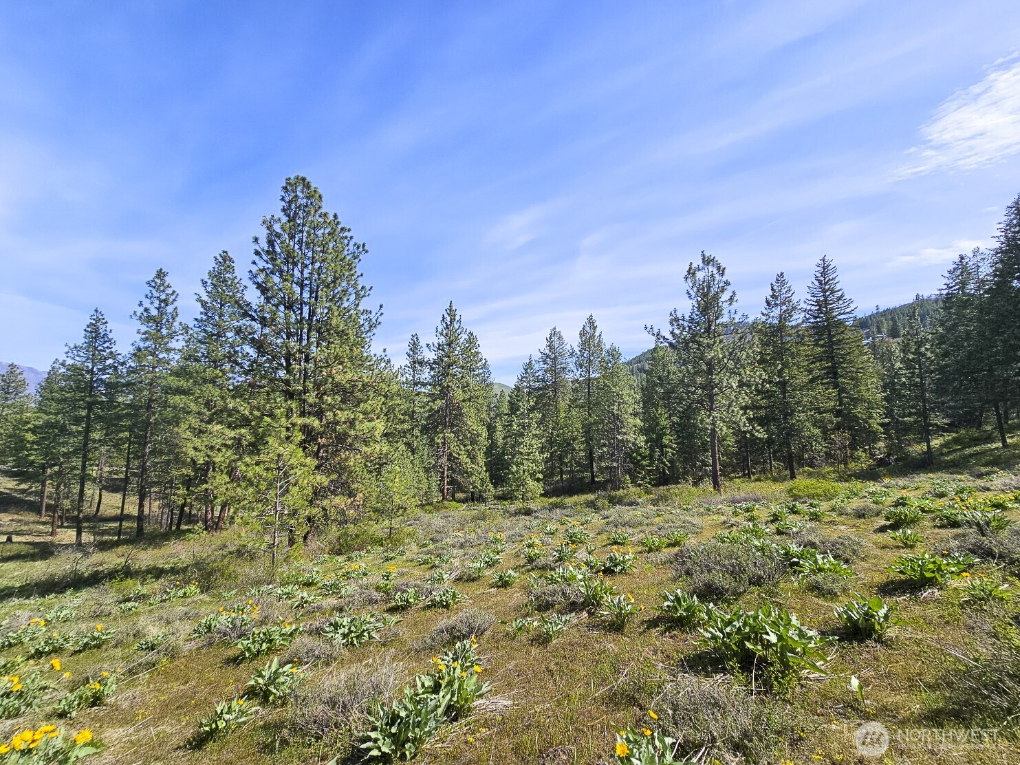 9 Whitebark Lane Property Photo 9