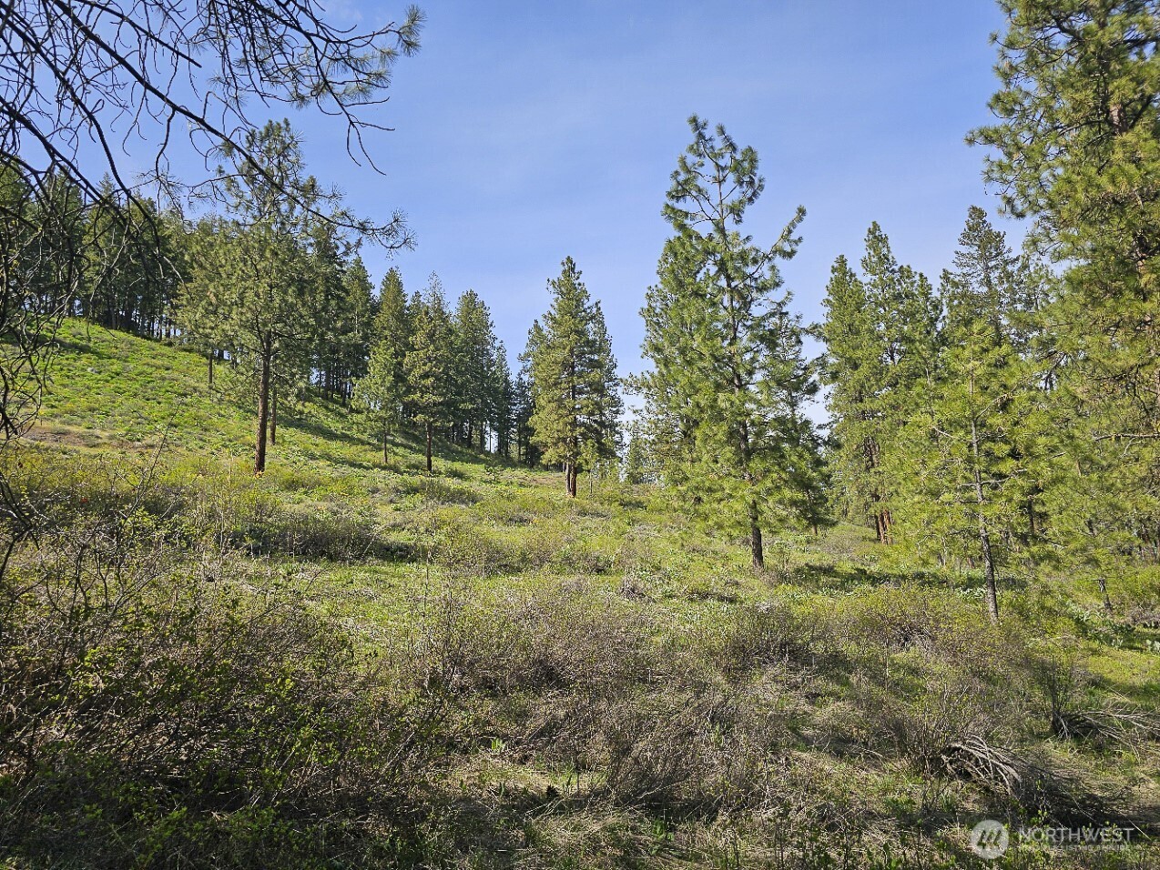 9 Whitebark Lane Property Photo 13