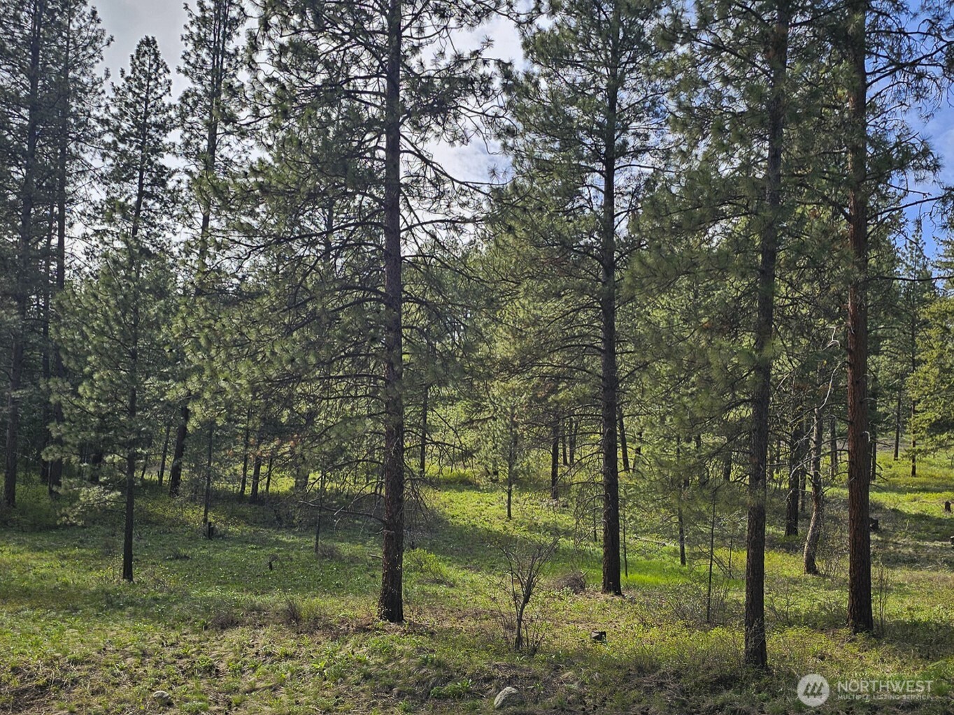 9 Whitebark Lane Property Photo 15
