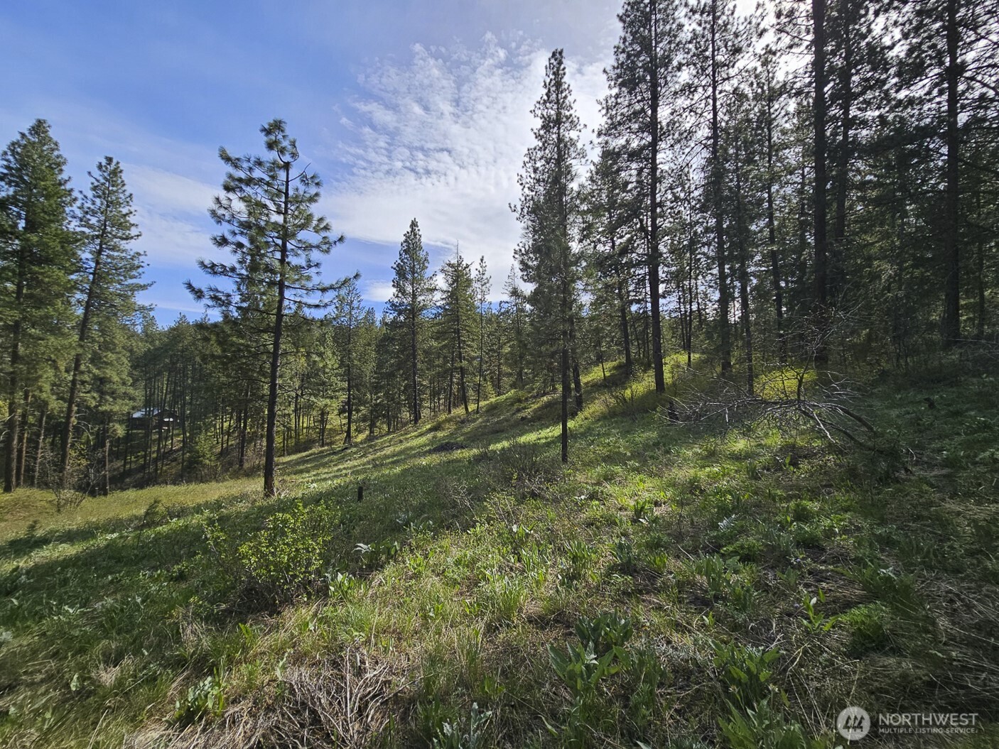 9 Whitebark Lane Property Photo 17