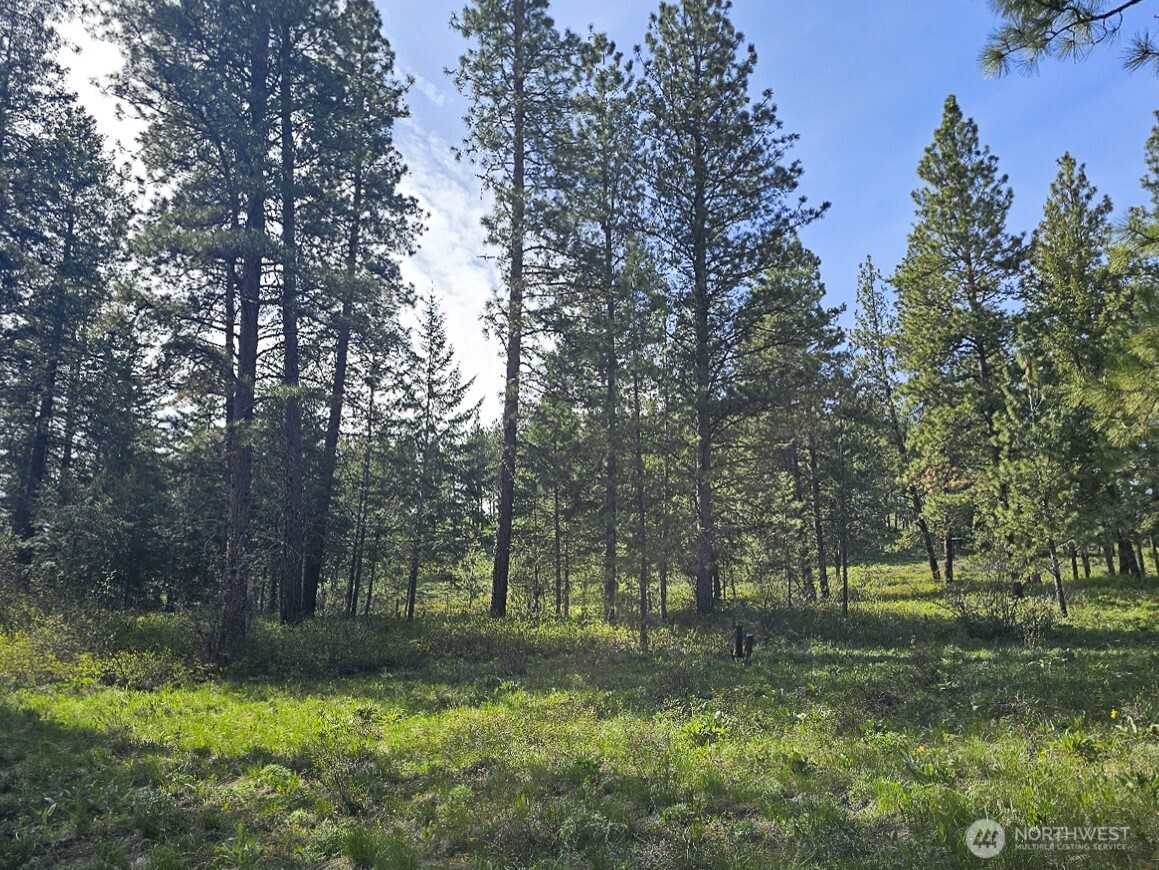 9 Whitebark Lane Property Photo 19