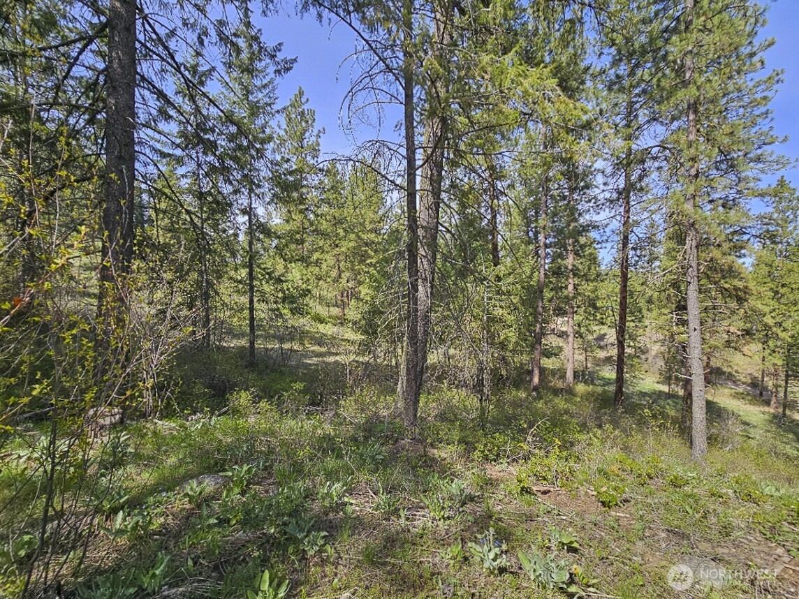 9 Whitebark Lane Property Photo 21