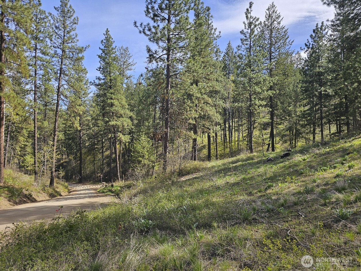 9 Whitebark Lane Property Photo 30