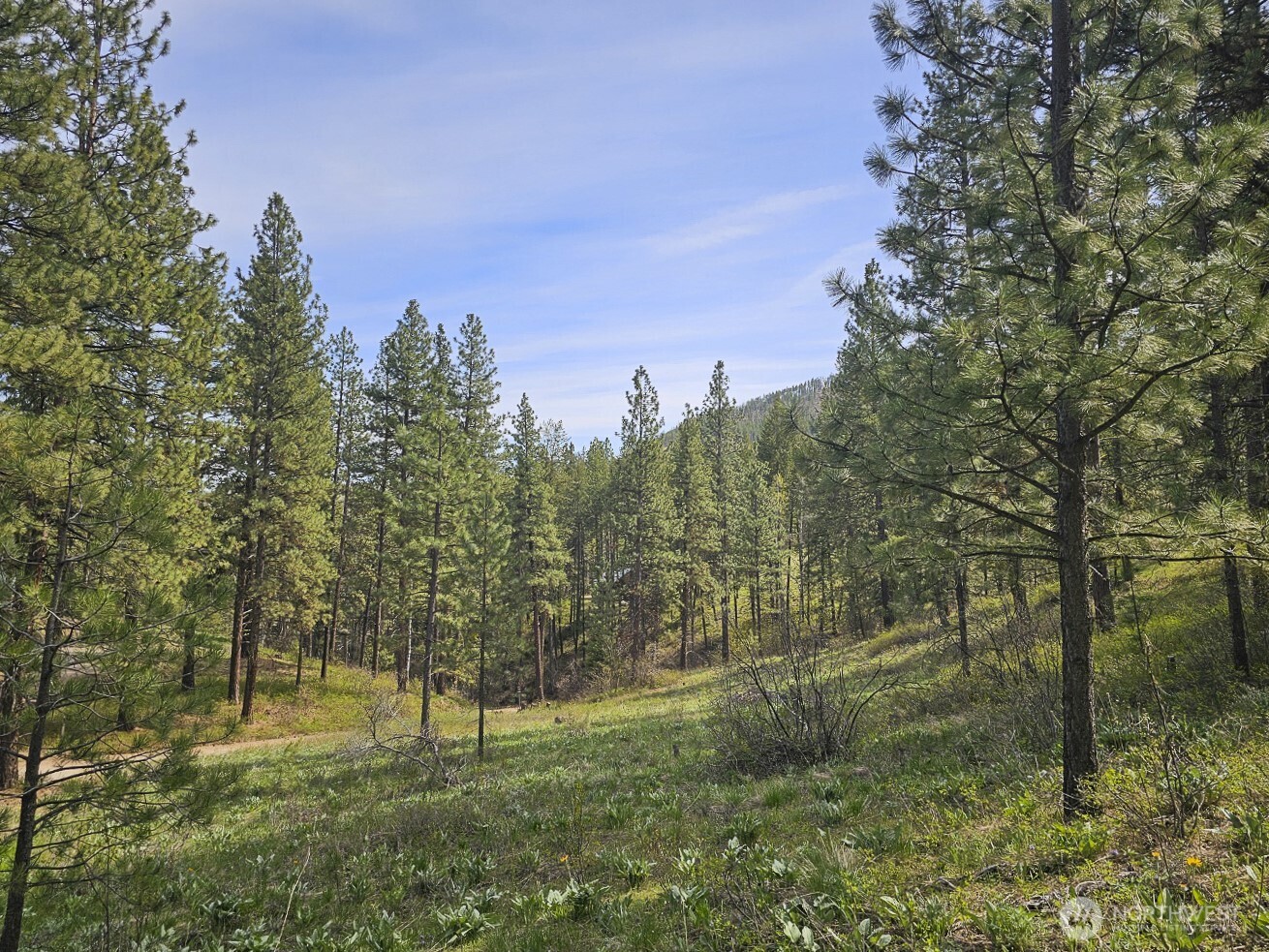 9 Whitebark Lane Property Photo 32