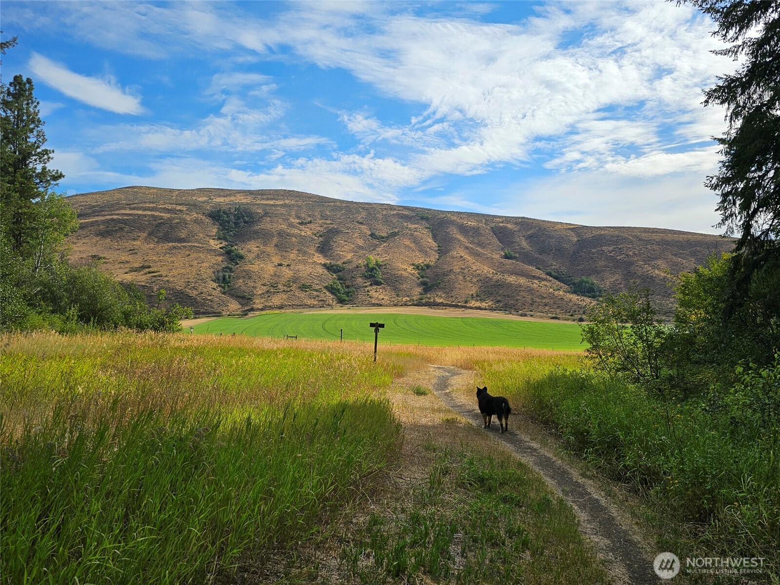 9 Whitebark Lane Property Photo 38