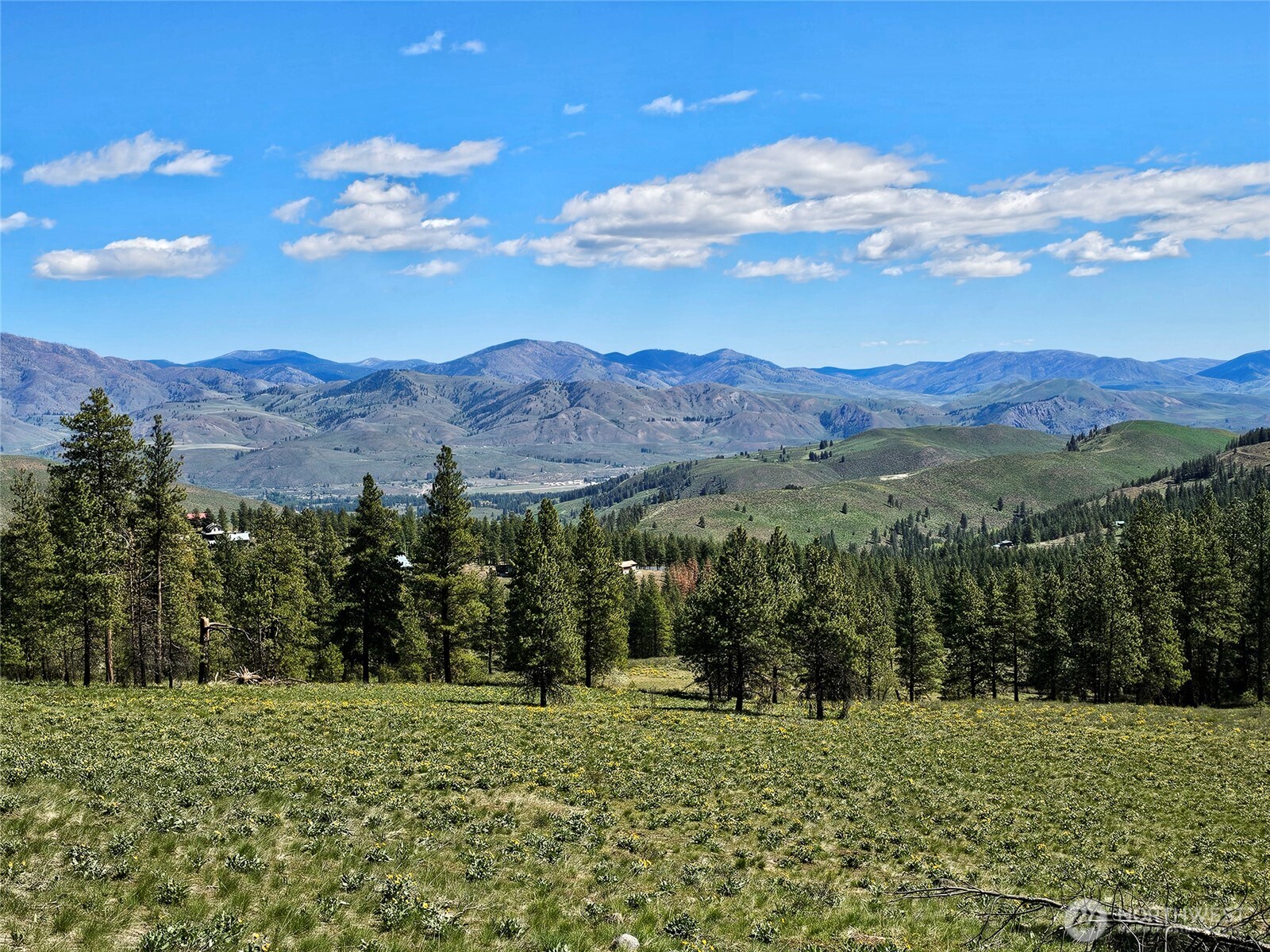 9 Whitebark Lane Property Photo 39