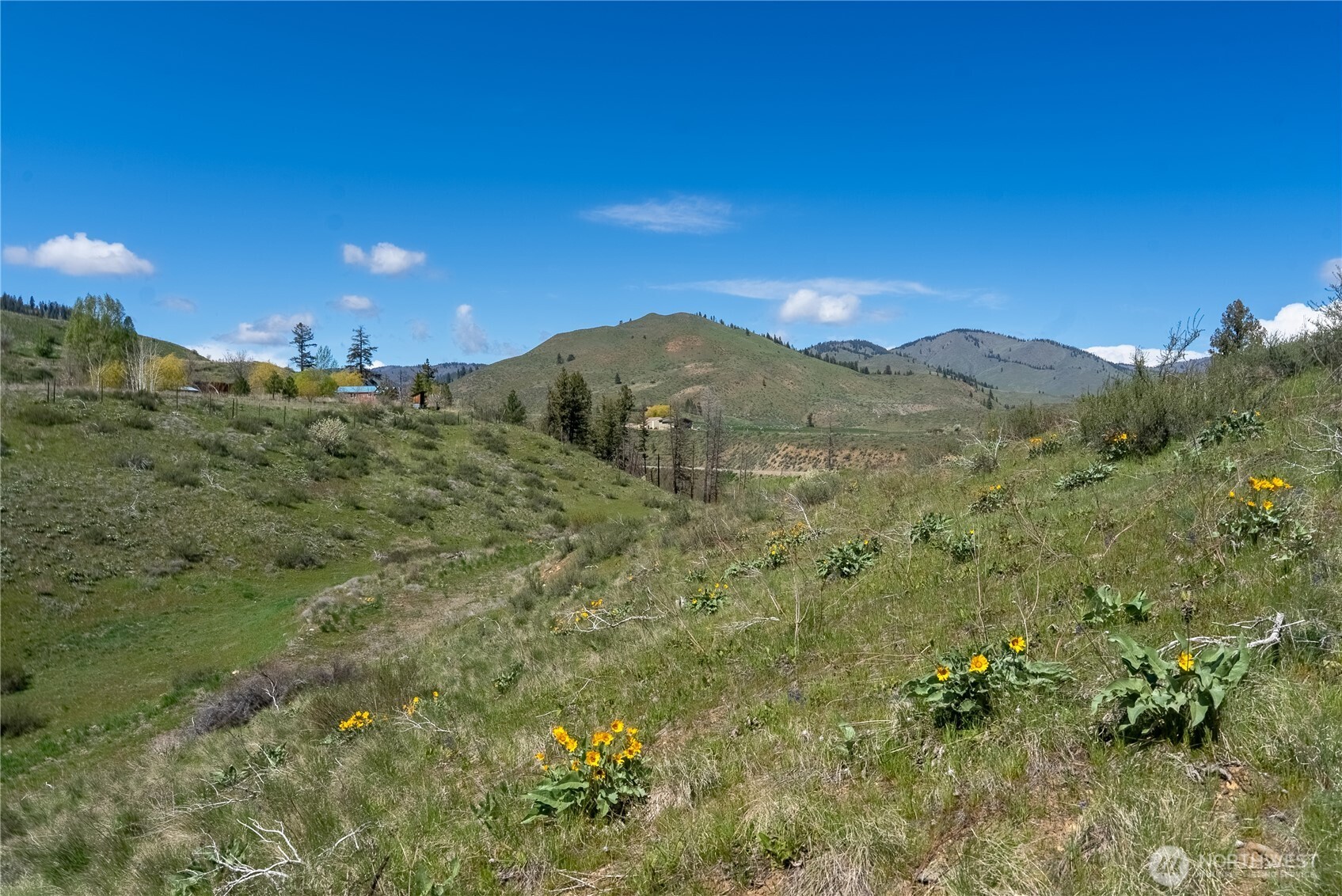 16 Dancing Bear Road Property Photo 18
