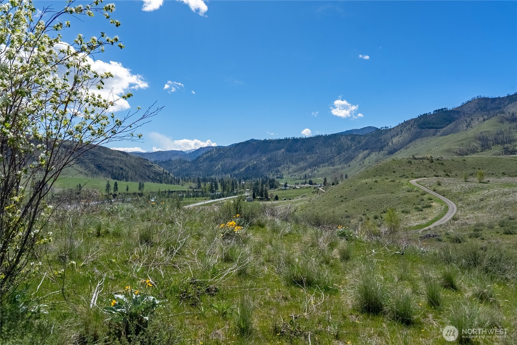 16 Dancing Bear Road Property Photo 24