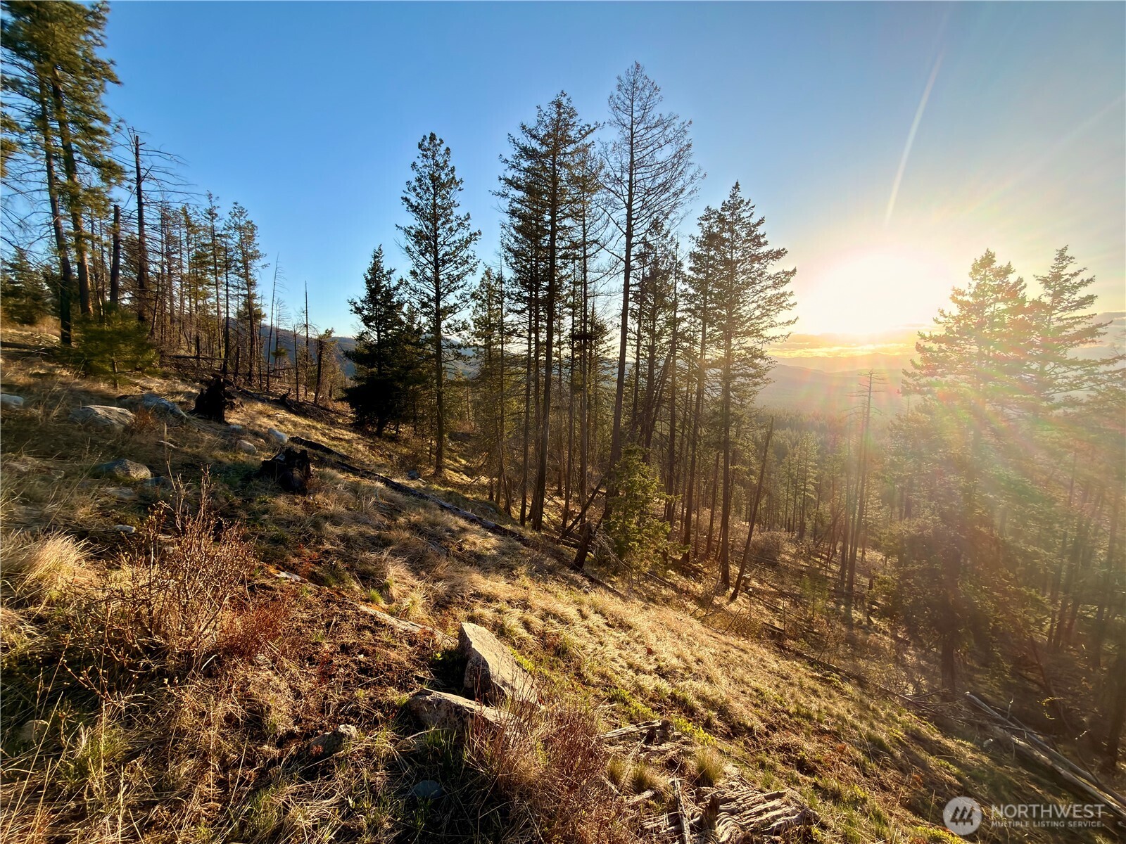 32 1 Twin Creeks Ranch Property Photo 3
