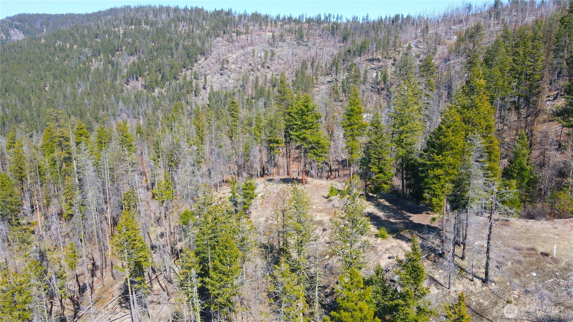 32 1 Twin Creeks Ranch Property Photo 4