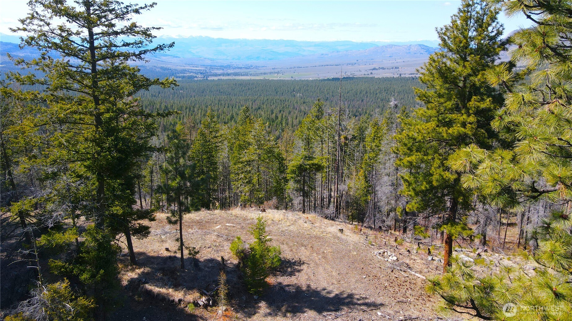 32 1 Twin Creeks Ranch Property Photo 5
