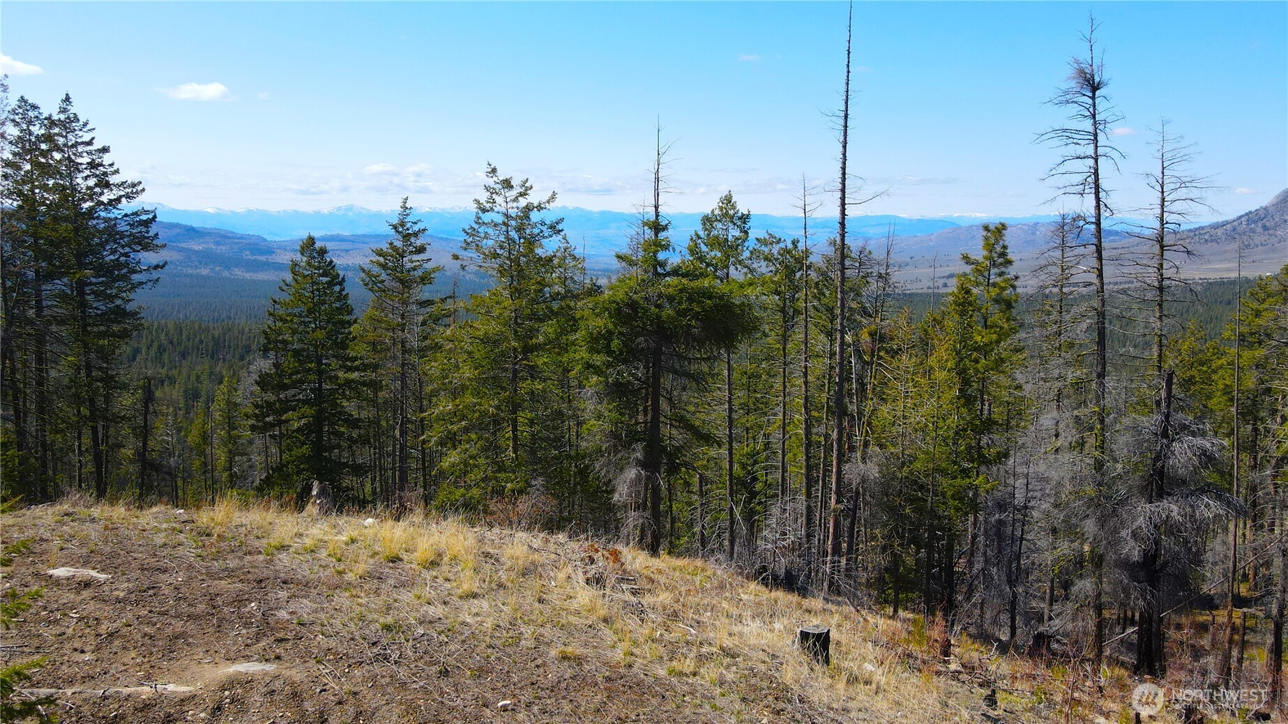 32 1 Twin Creeks Ranch Property Photo 6