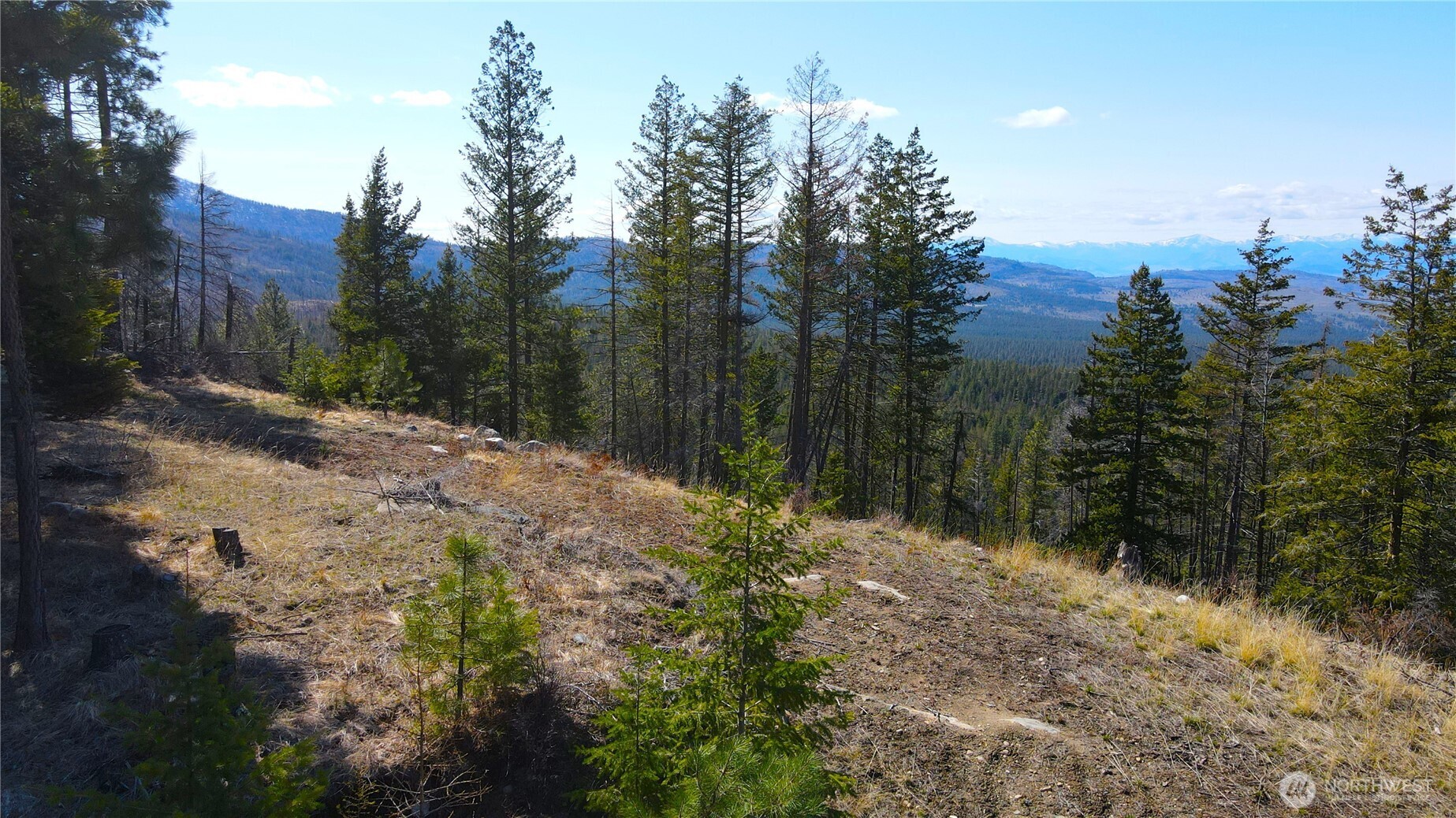 32 1 Twin Creeks Ranch Property Photo 7