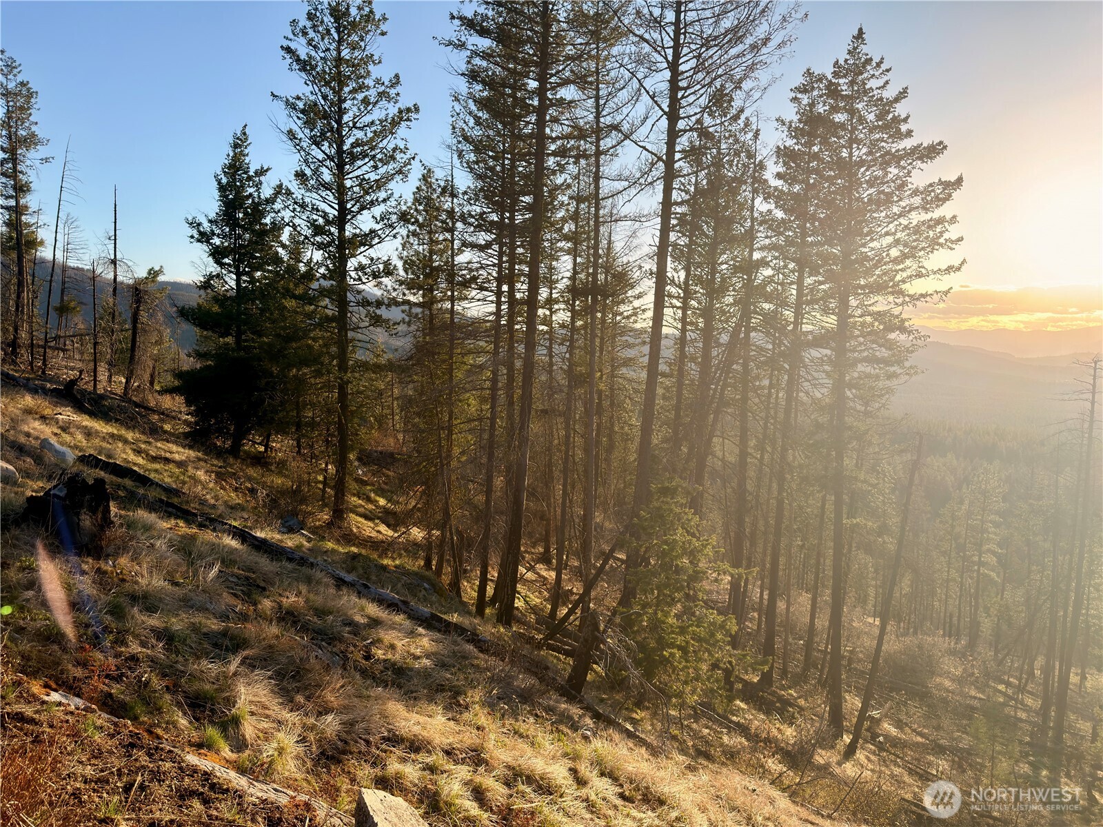32 1 Twin Creeks Ranch Property Photo 8