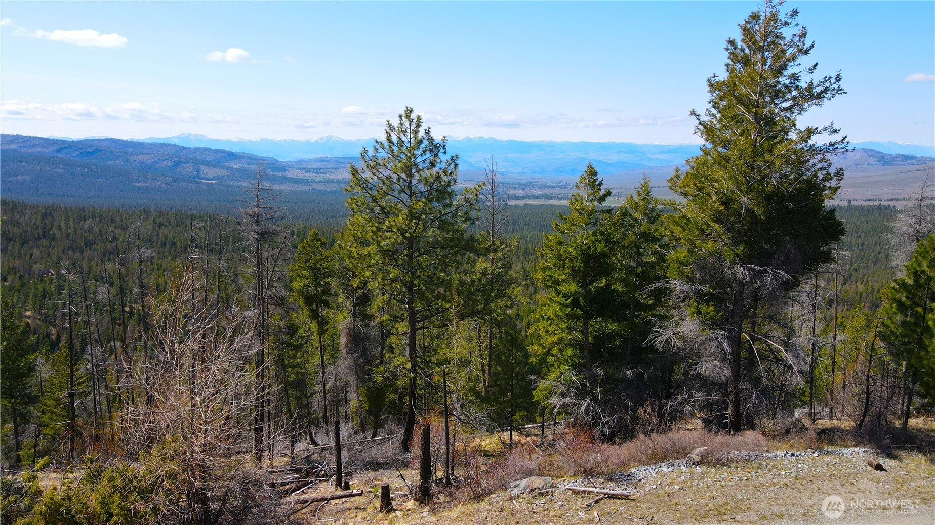 32 1 Twin Creeks Ranch Property Photo 10