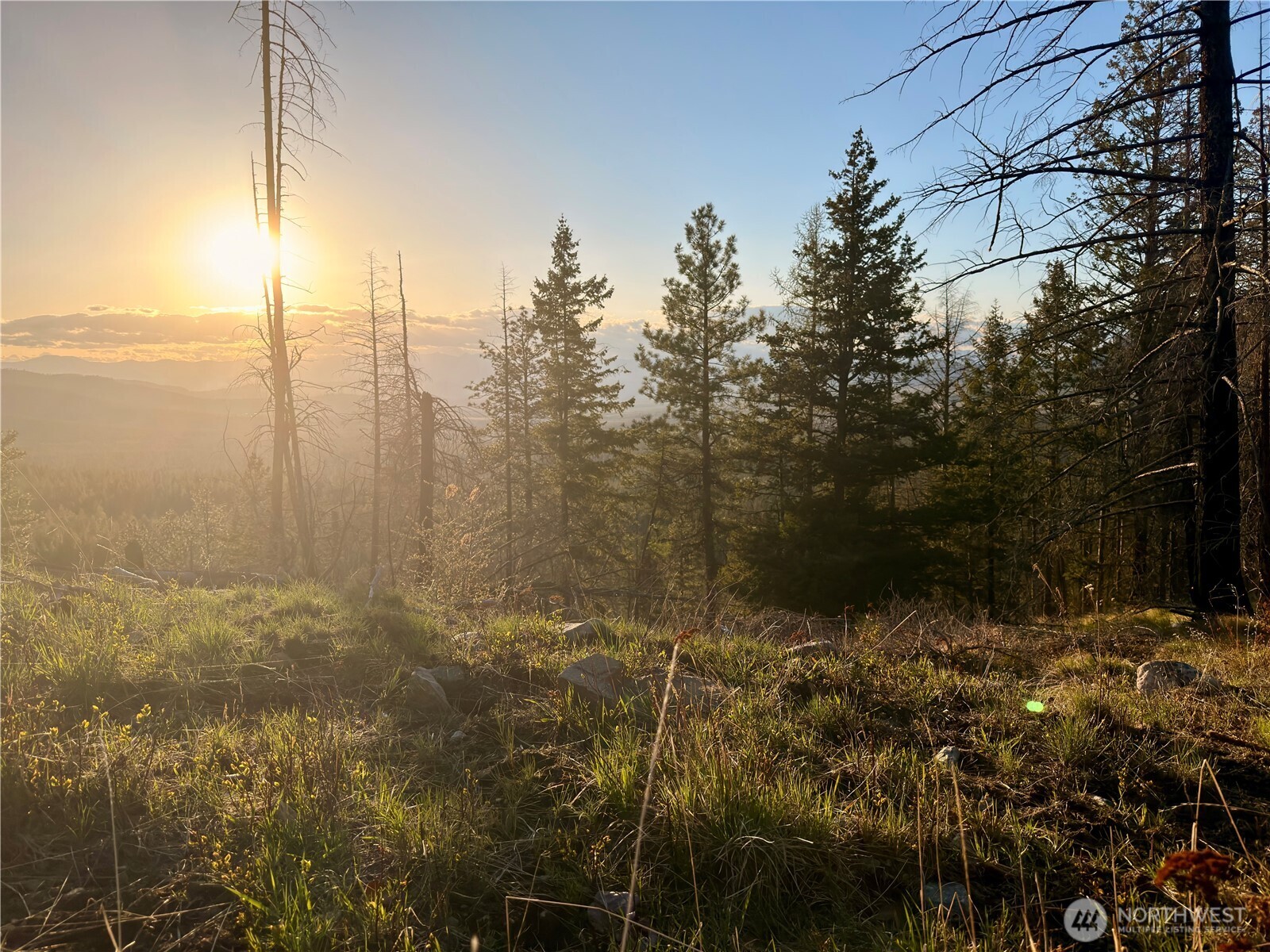 32 1 Twin Creeks Ranch Property Photo 11