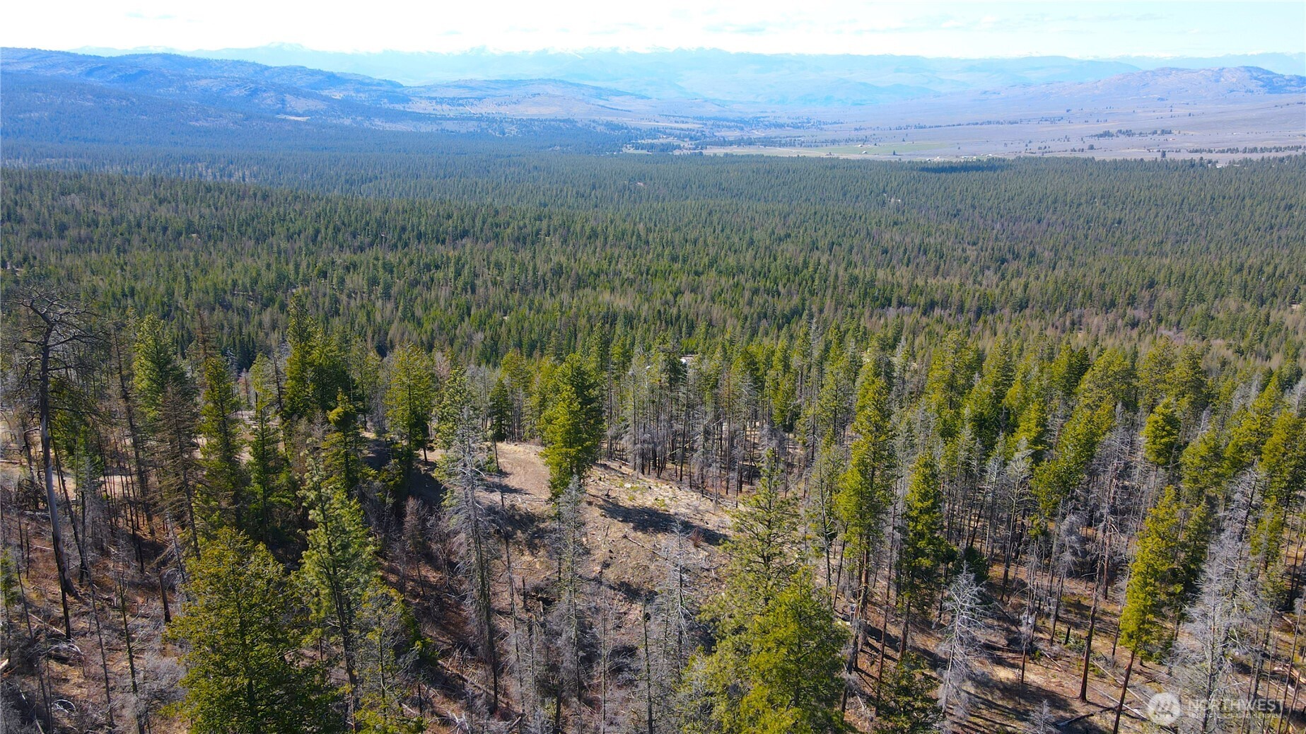 32 1 Twin Creeks Ranch Property Photo 12