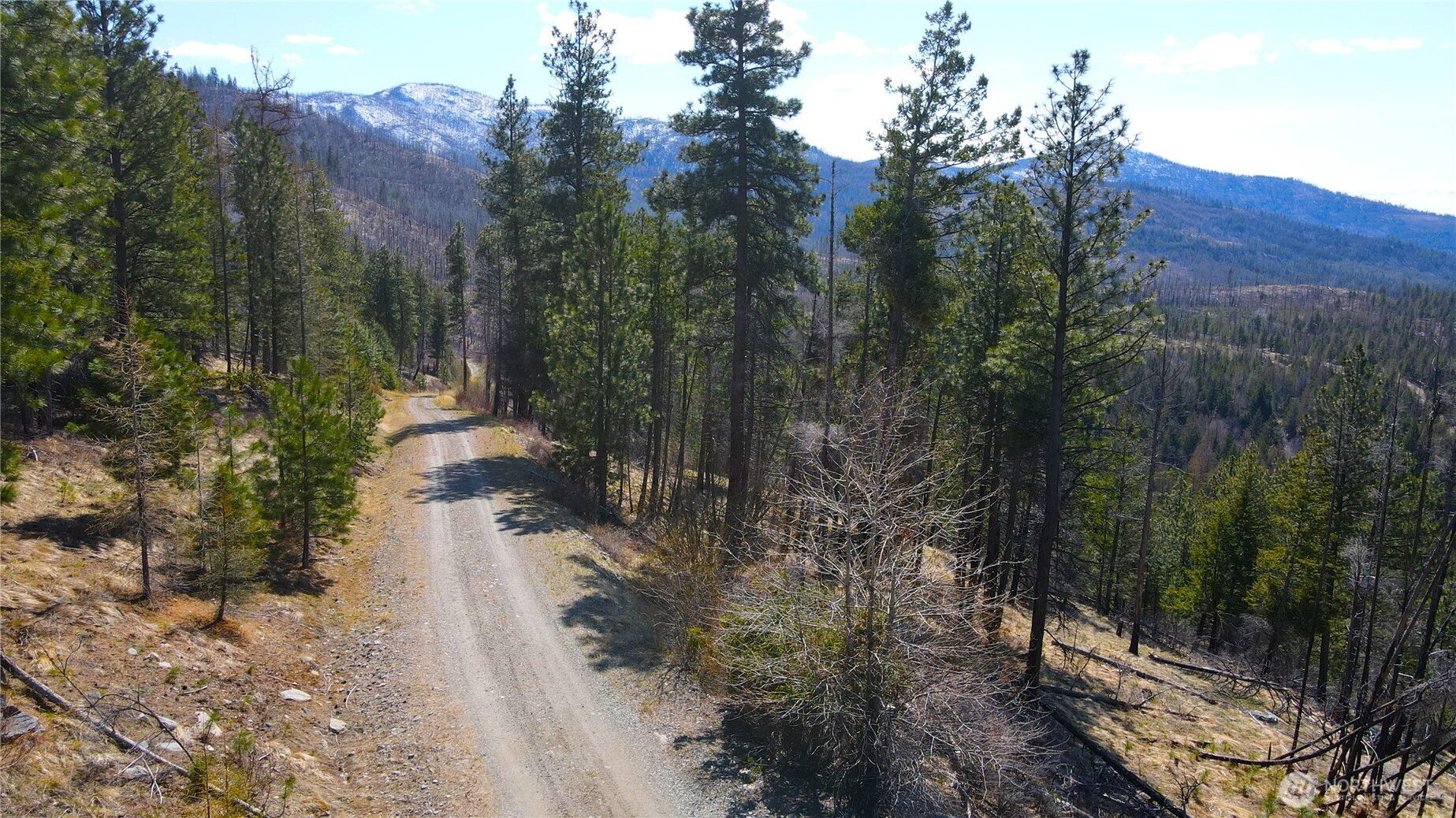 32 1 Twin Creeks Ranch Property Photo 14