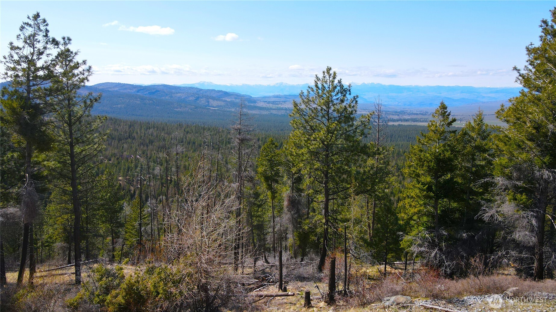 32 1 Twin Creeks Ranch Property Photo 15