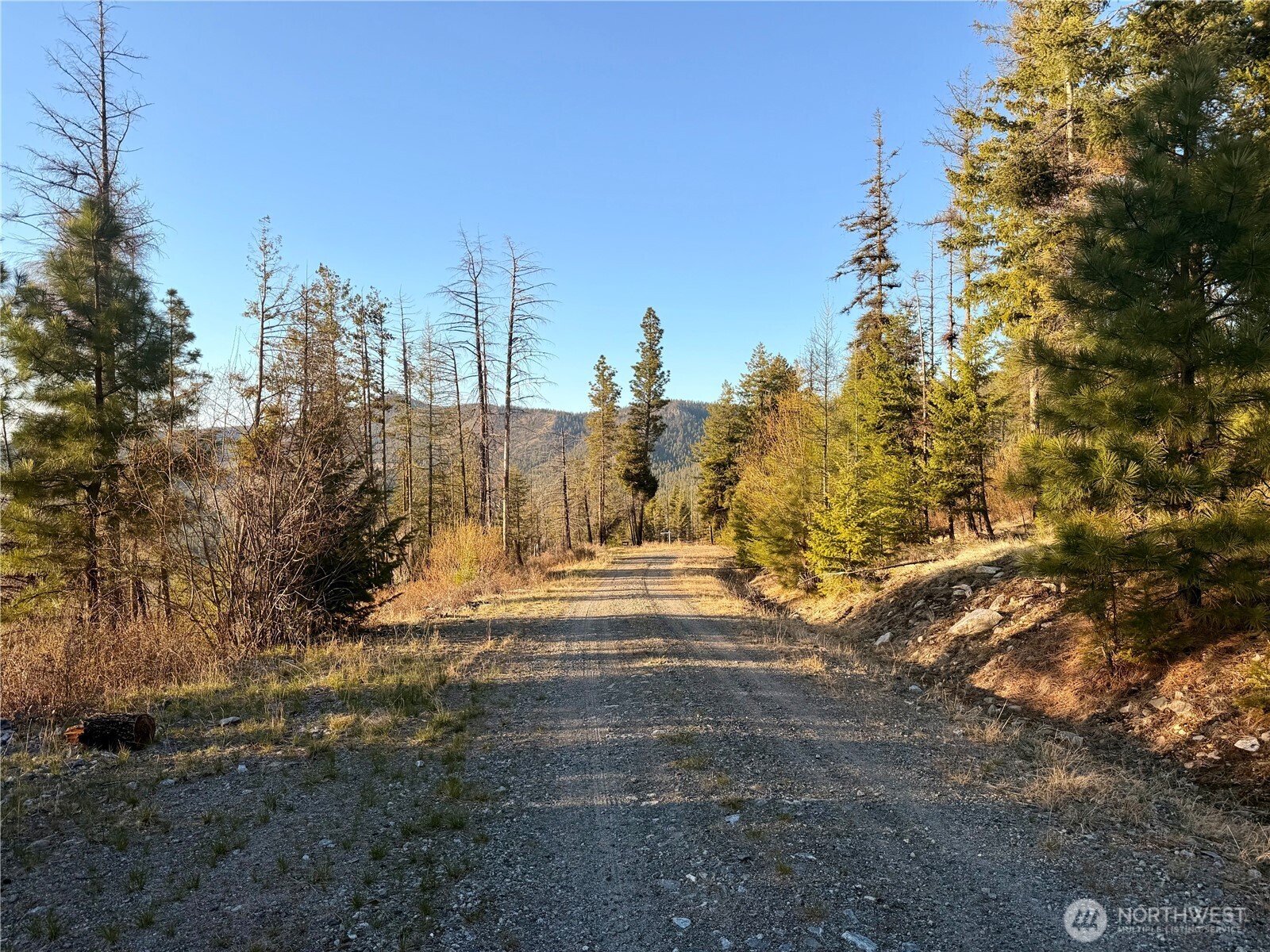 32 1 Twin Creeks Ranch Property Photo 18
