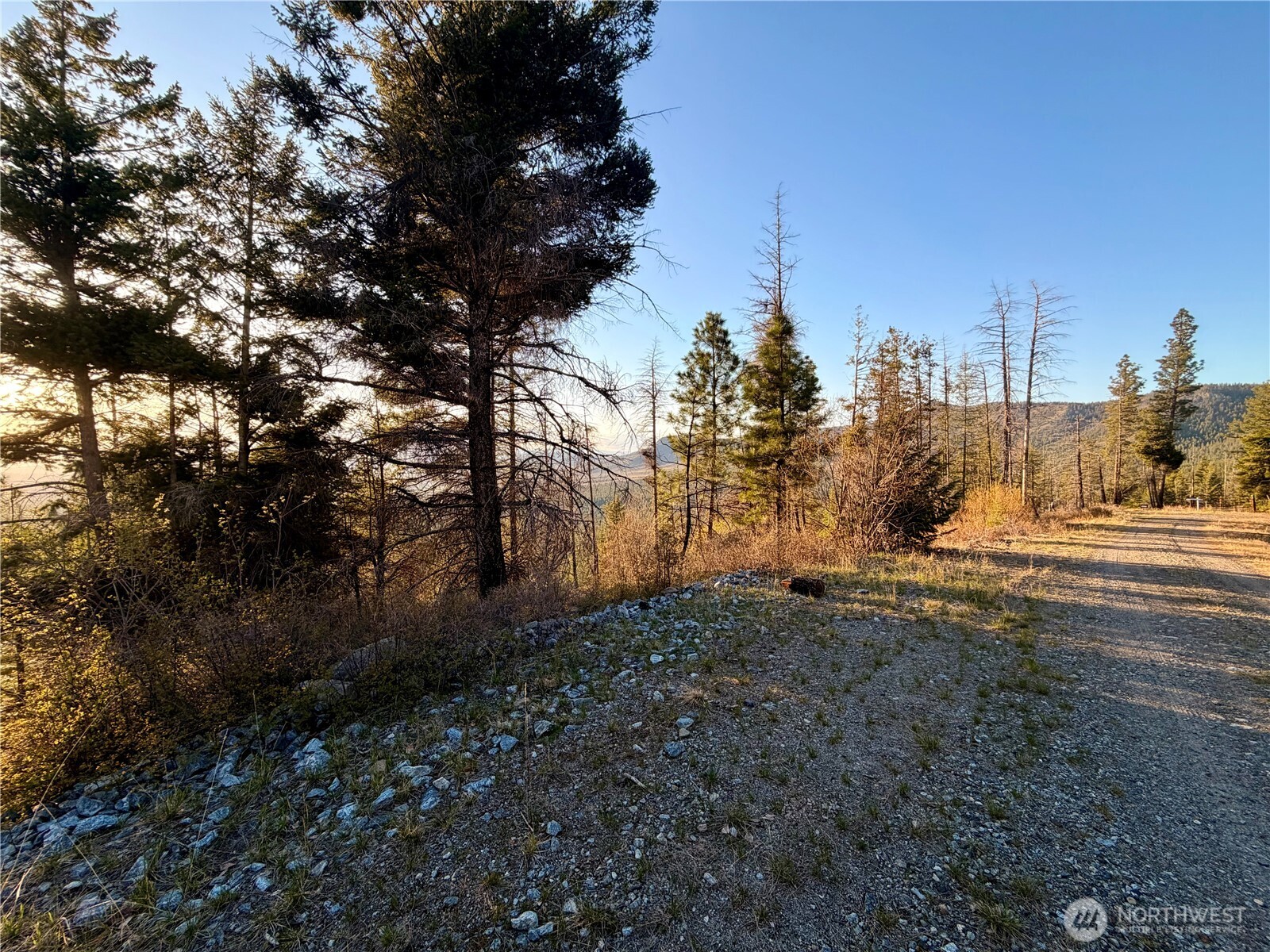 32 1 Twin Creeks Ranch Property Photo 21