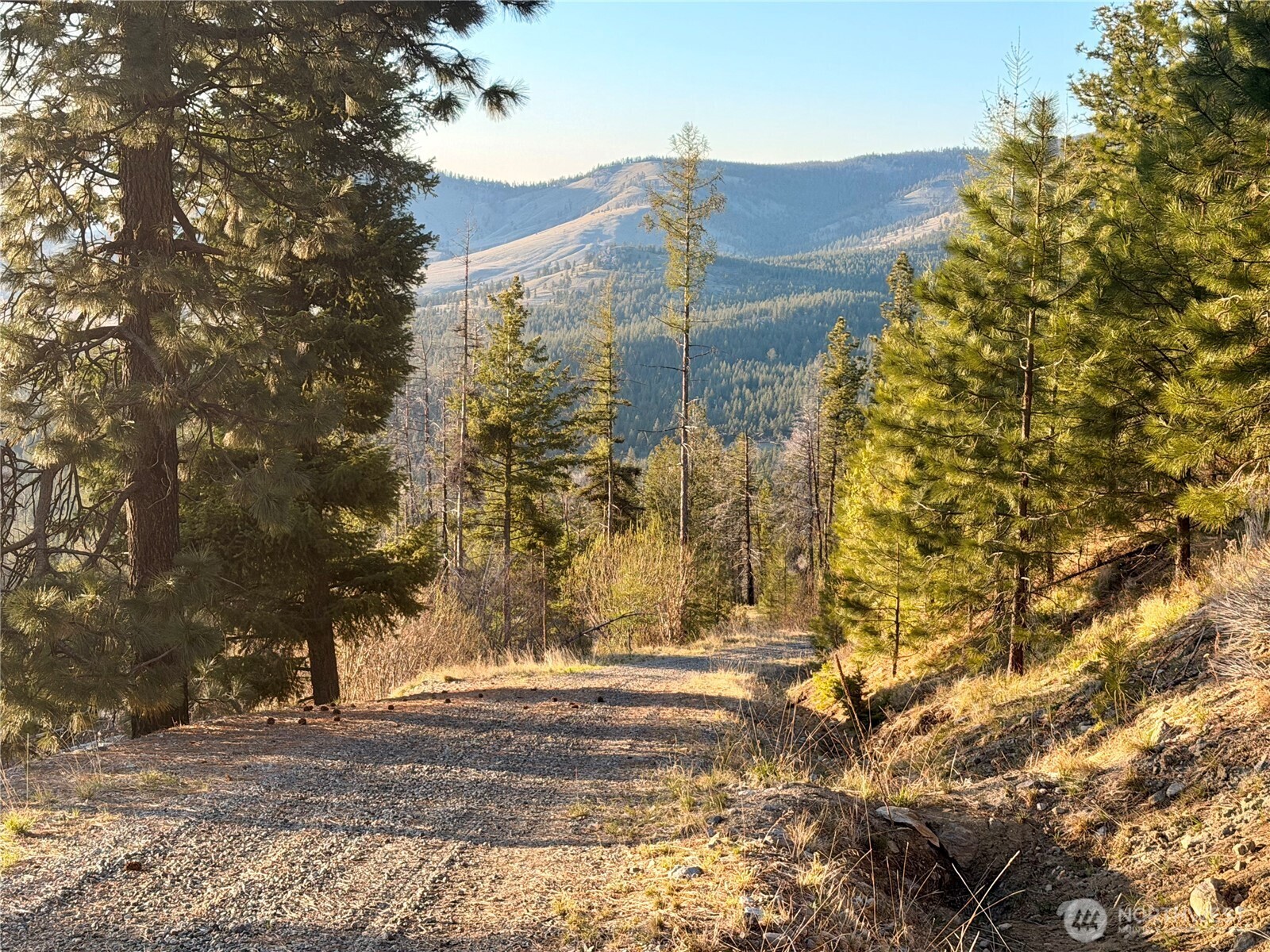 32 1 Twin Creeks Ranch Property Photo 22