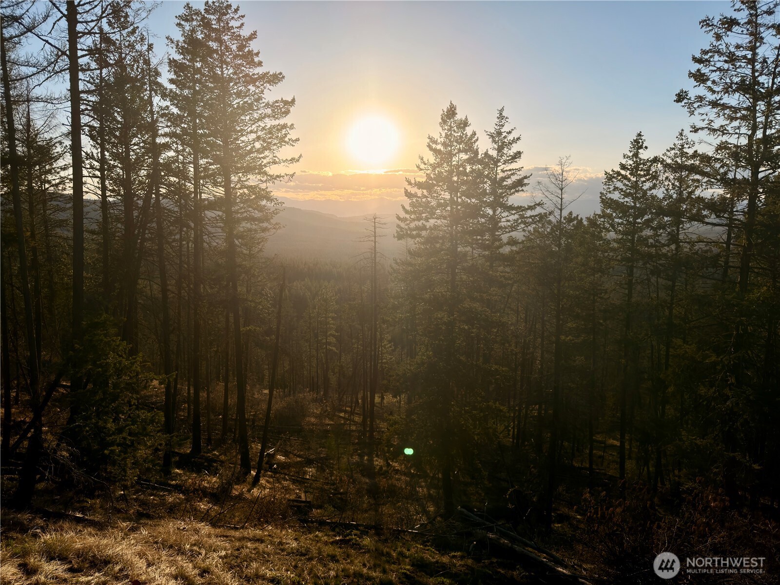 32 1 Twin Creeks Ranch Property Photo 24