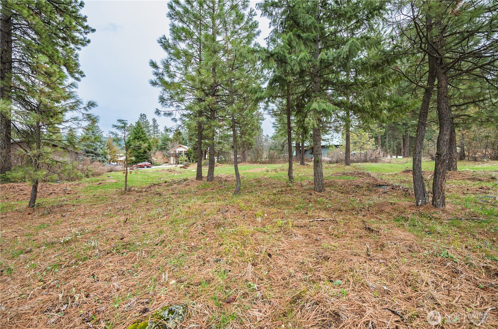 0 Alpensee Strasse Property Photo 11