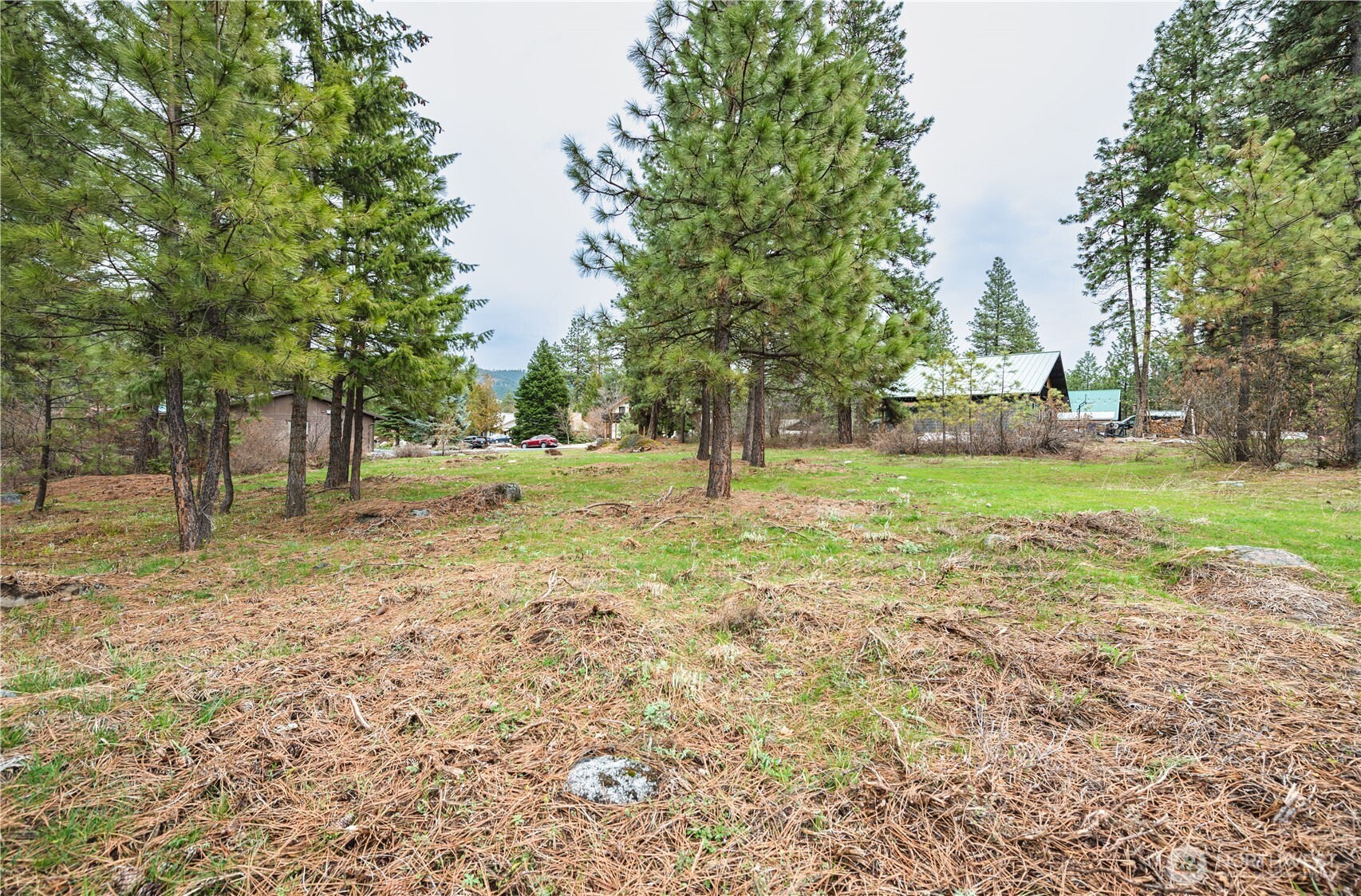 0 Alpensee Strasse Property Photo 12