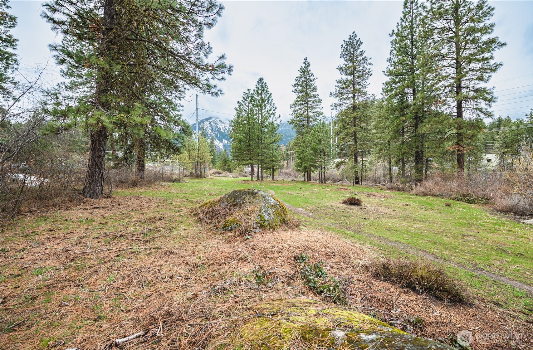 0 Alpensee Strasse Property Photo 19