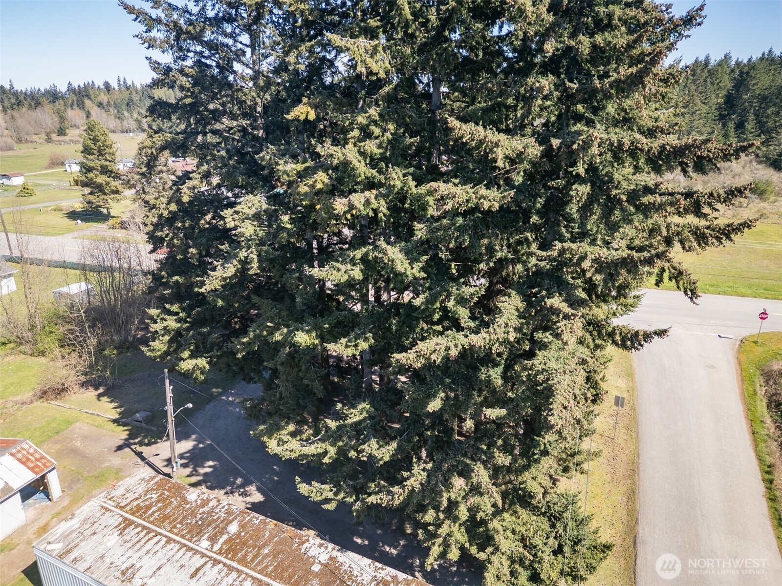 30 Marsden Road Property Photo 38