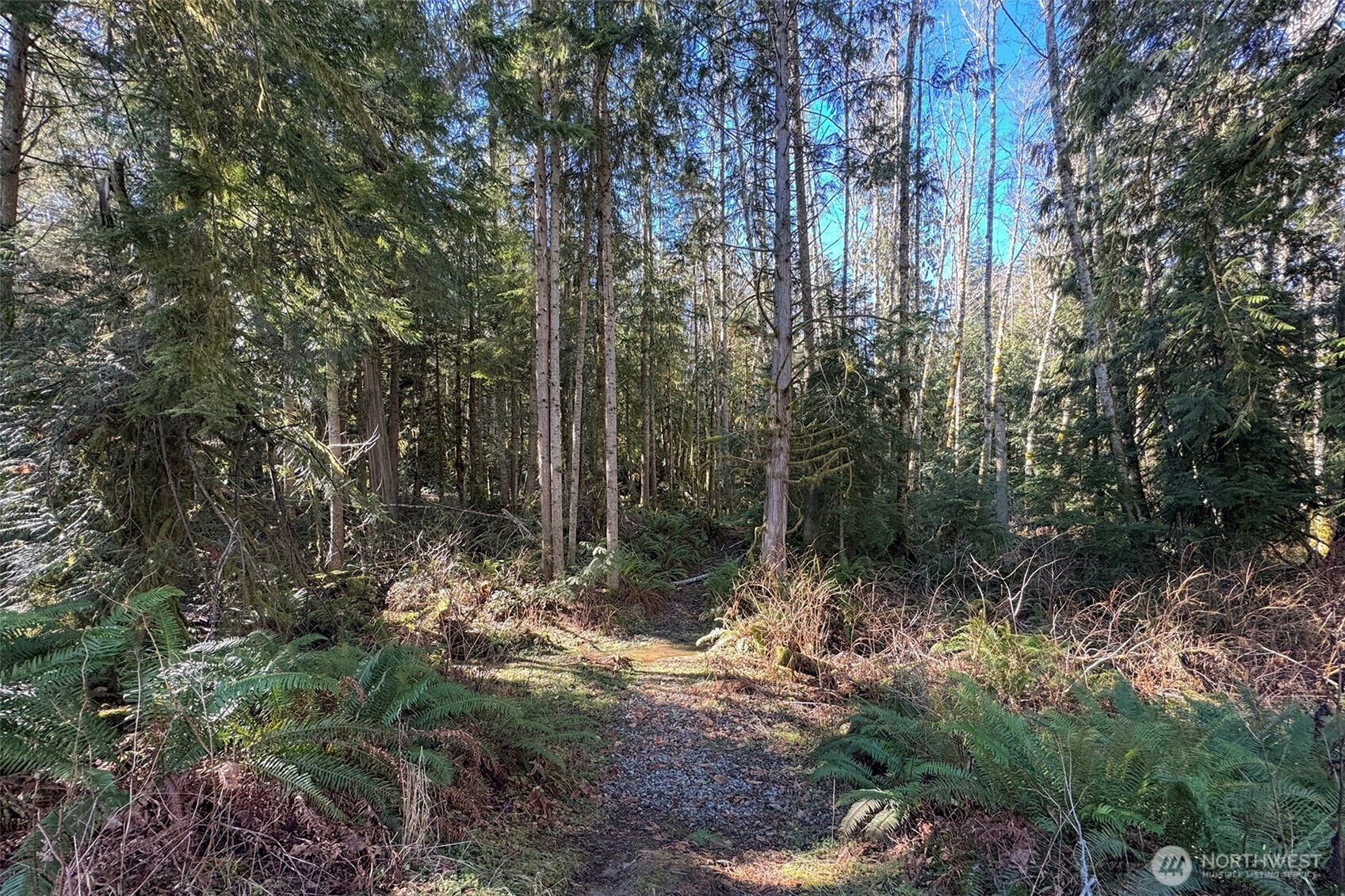 242 Watershed Road Property Photo 34