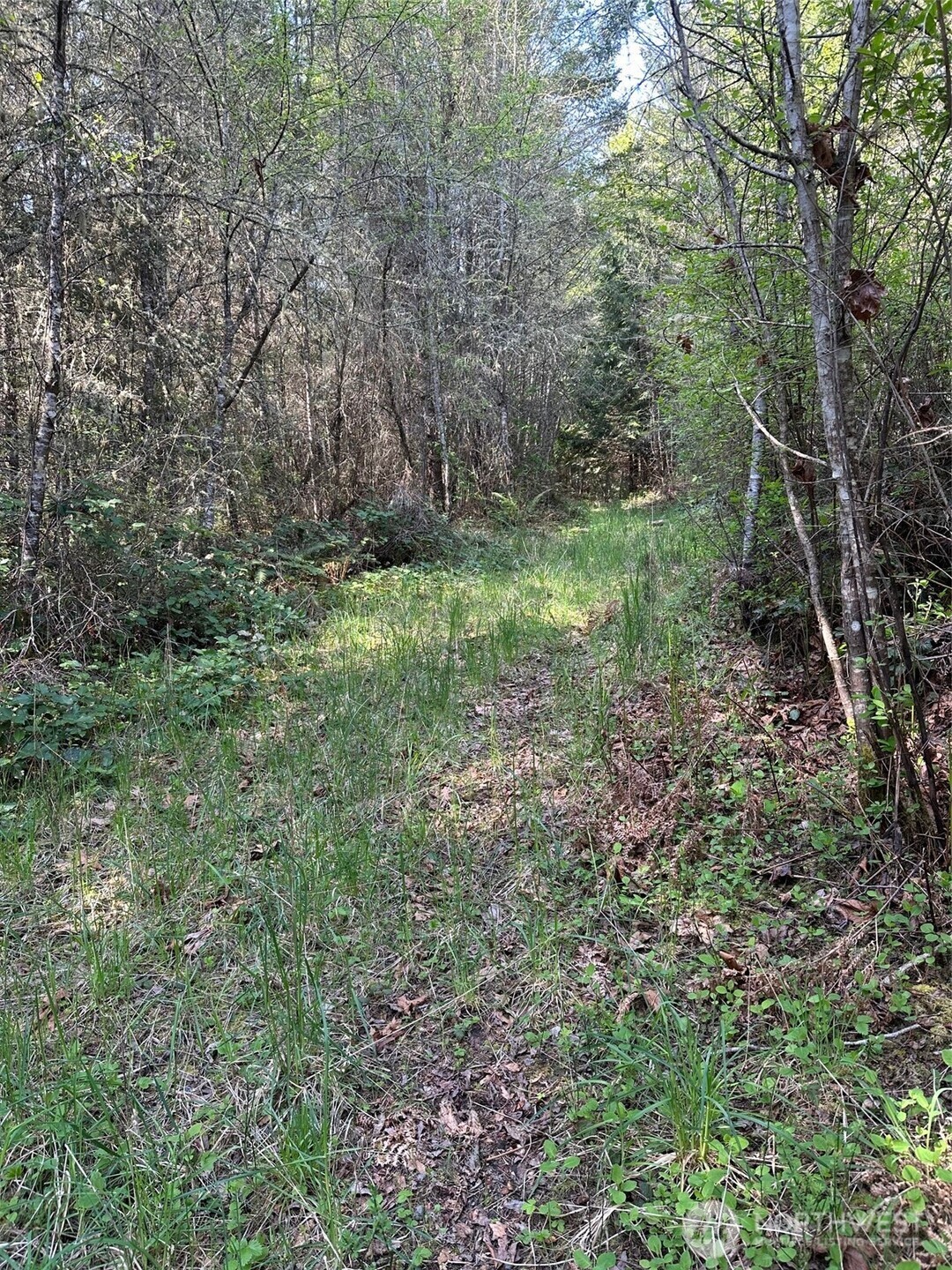 9999 Pristine Lane, Lot 3 Property Photo 2
