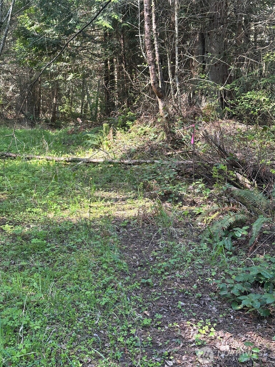 9999 Pristine Lane, Lot 3 Property Photo 3