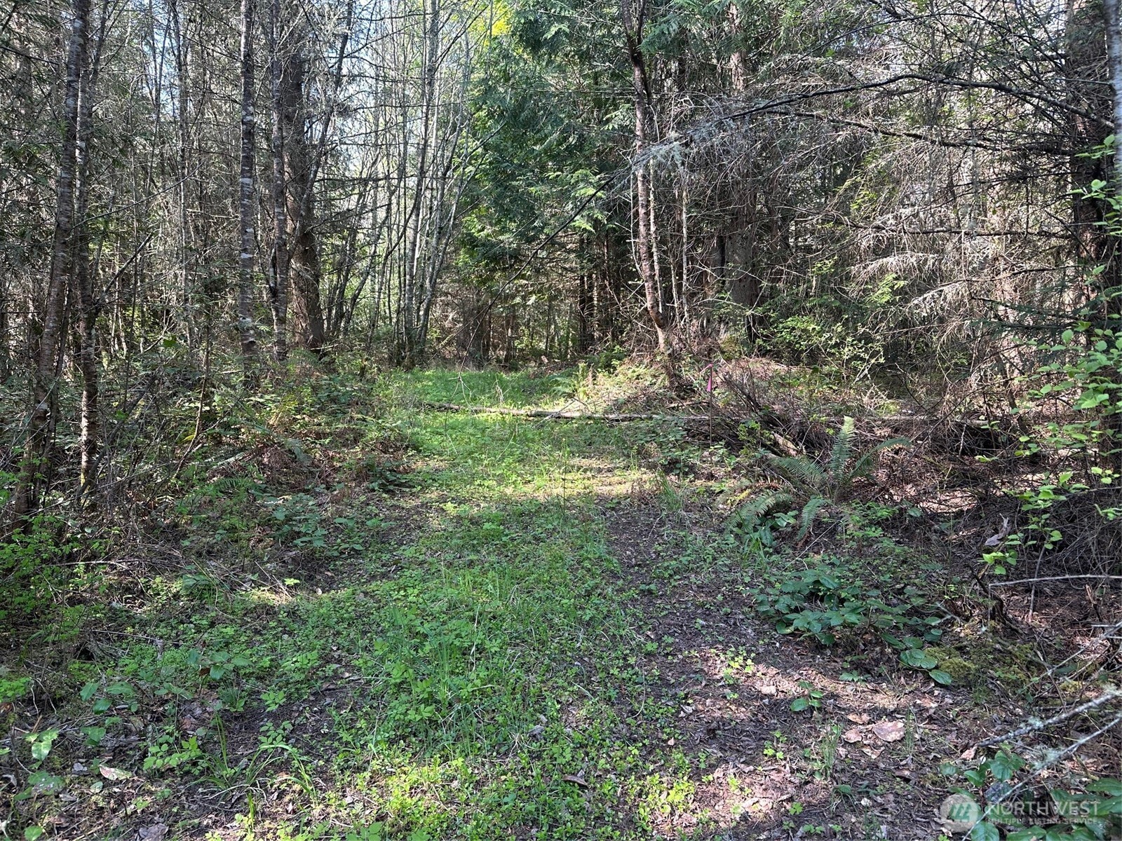 9999 Pristine Lane, Lot 3 Property Photo 4