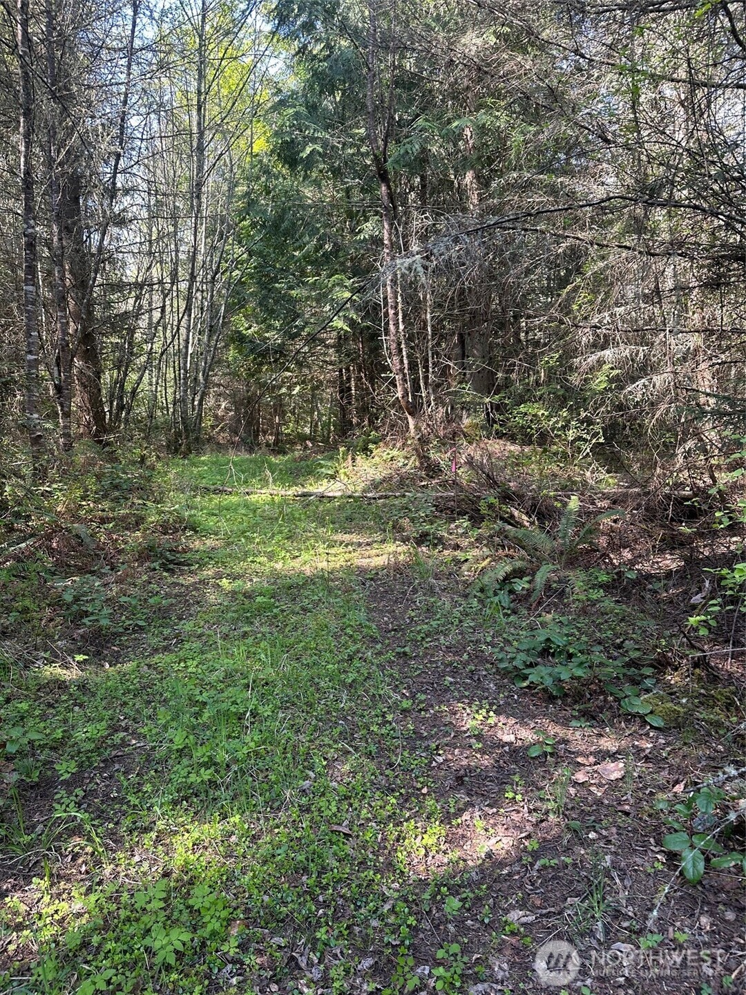 9999 Pristine Lane, Lot 3 Property Photo 5
