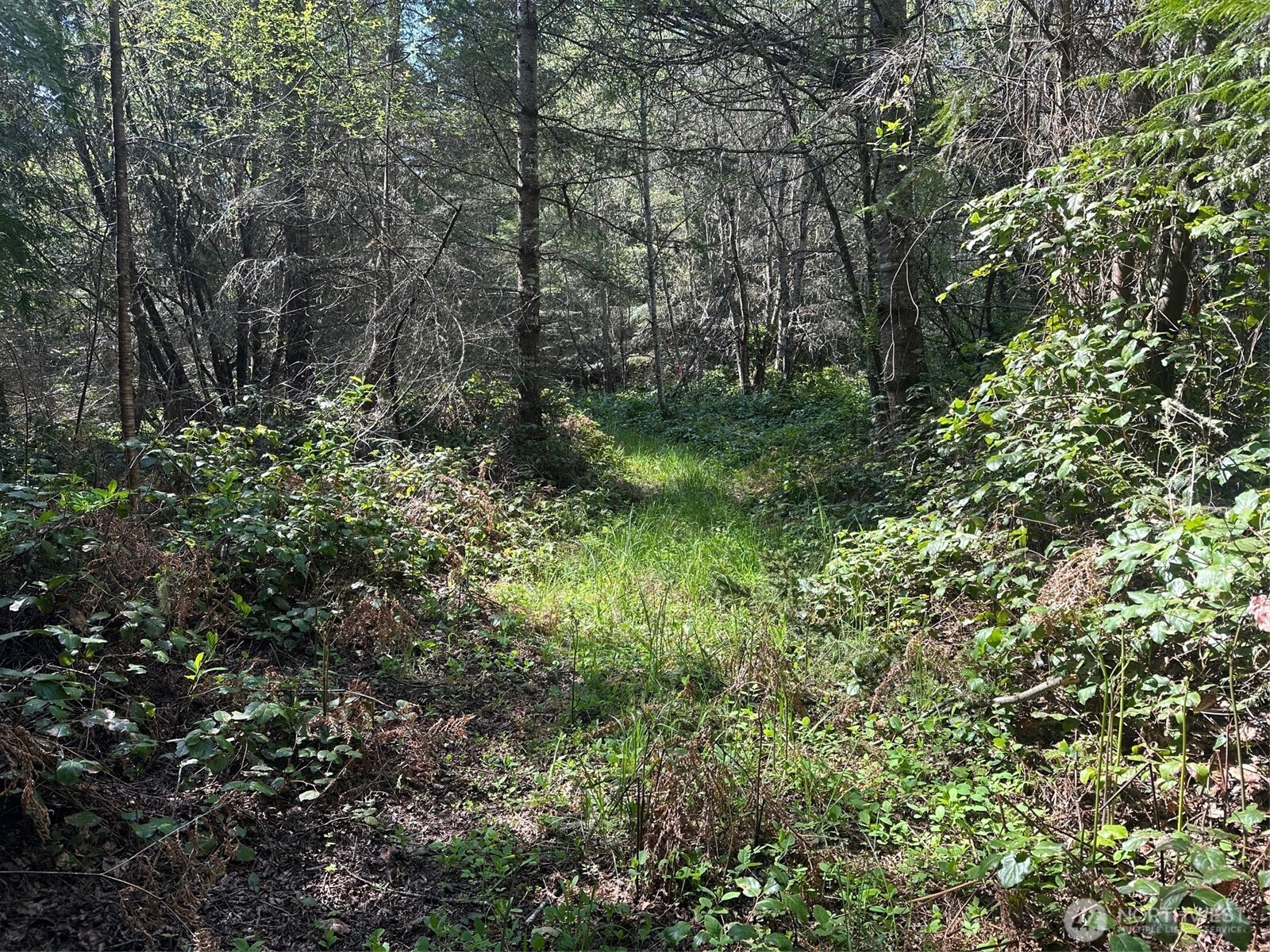 9999 Pristine Lane, Lot 3 Property Photo 7