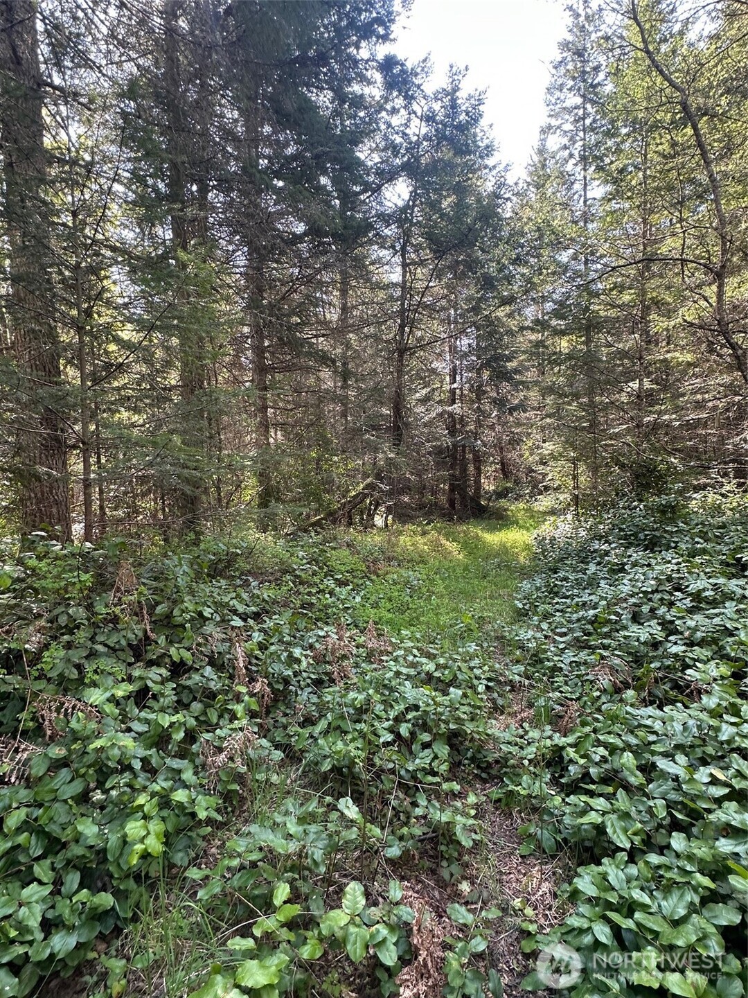 9999 Pristine Lane, Lot 3 Property Photo 8