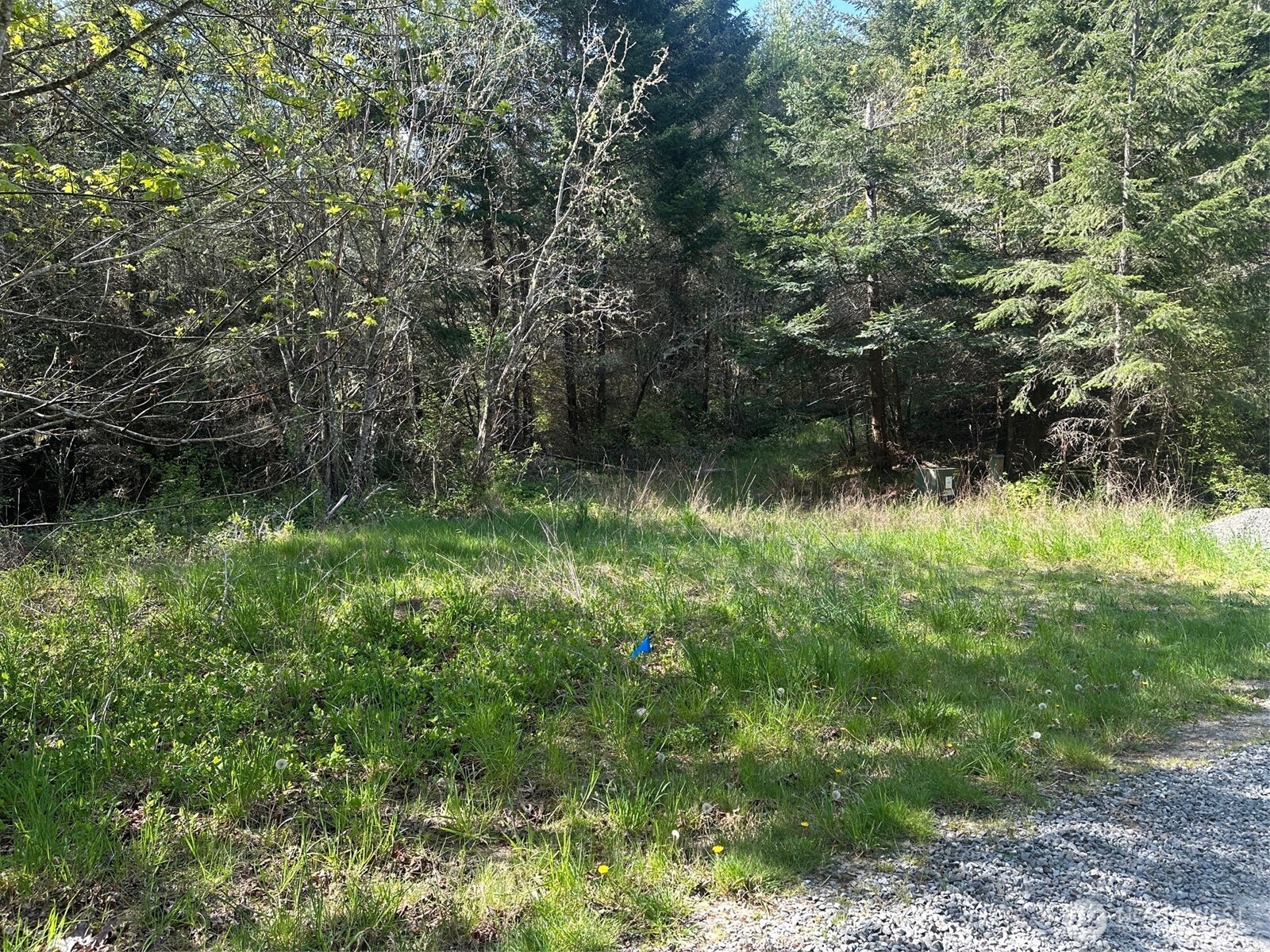 9999 Pristine Lane, Lot 3 Property Photo 10