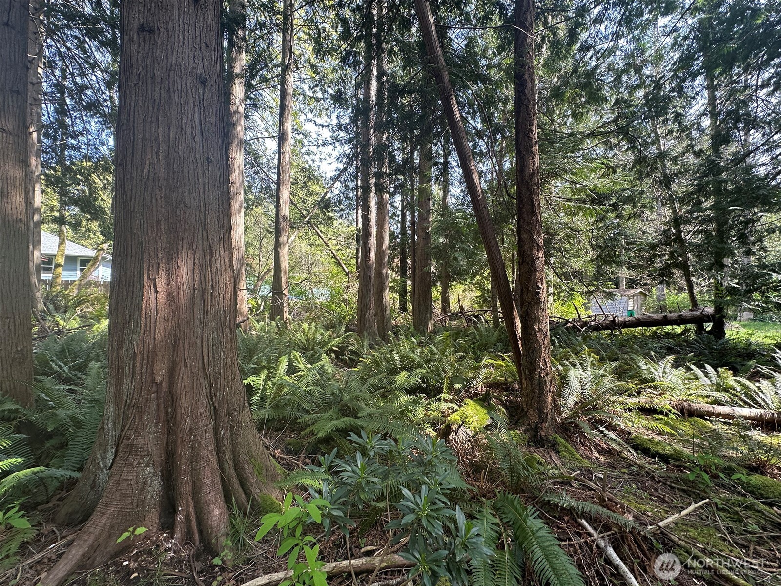 0 Lot 9 Tyee Drive Property Photo 1