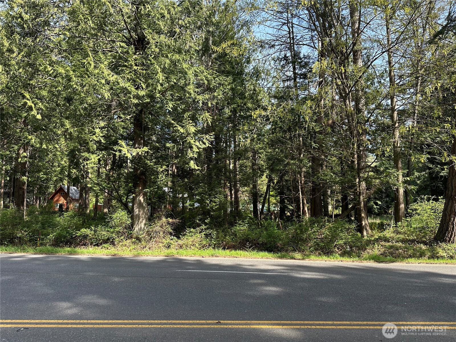 0 Lot 9 Tyee Drive Property Photo 2
