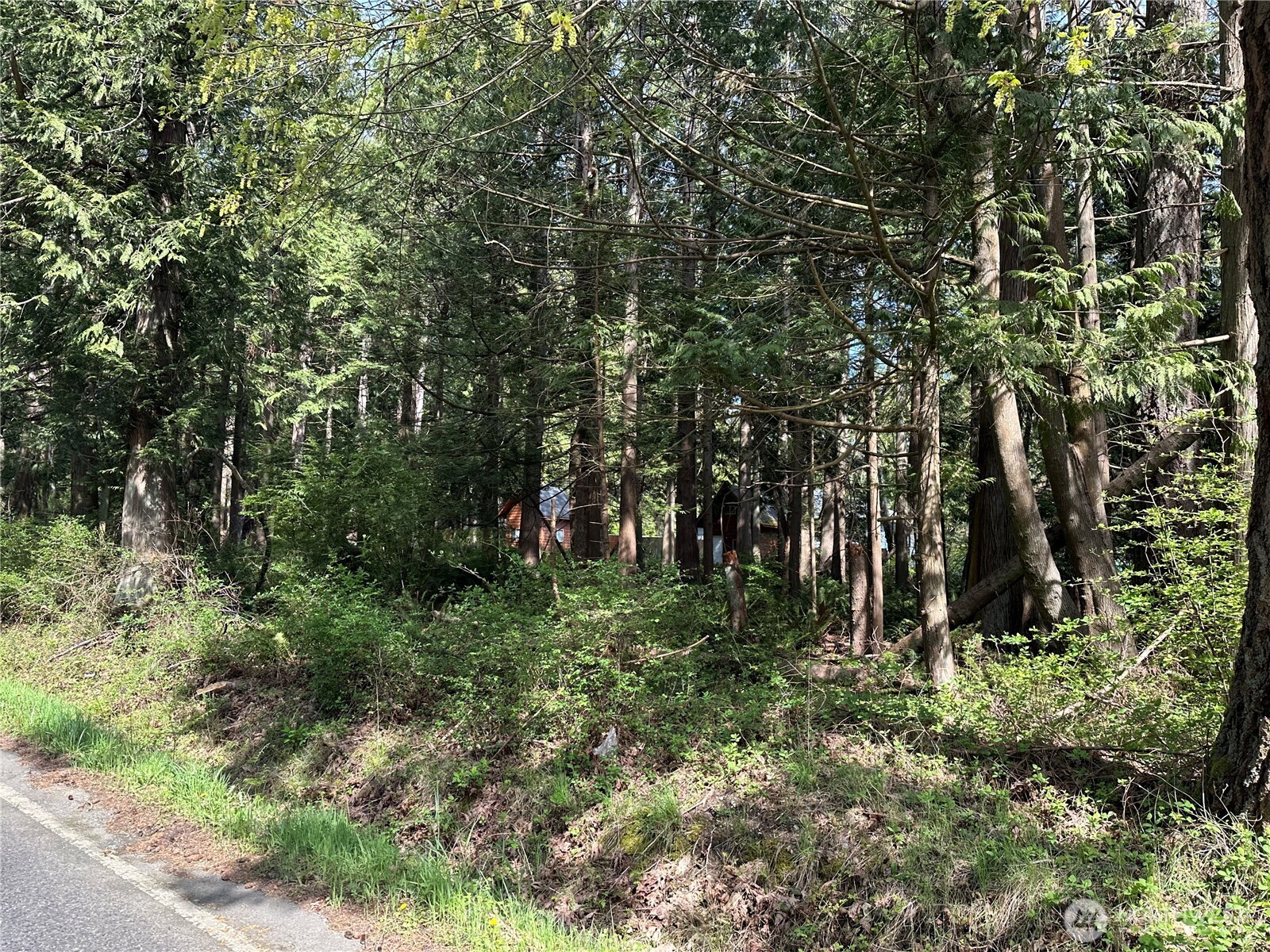 0 Lot 9 Tyee Drive Property Photo 3