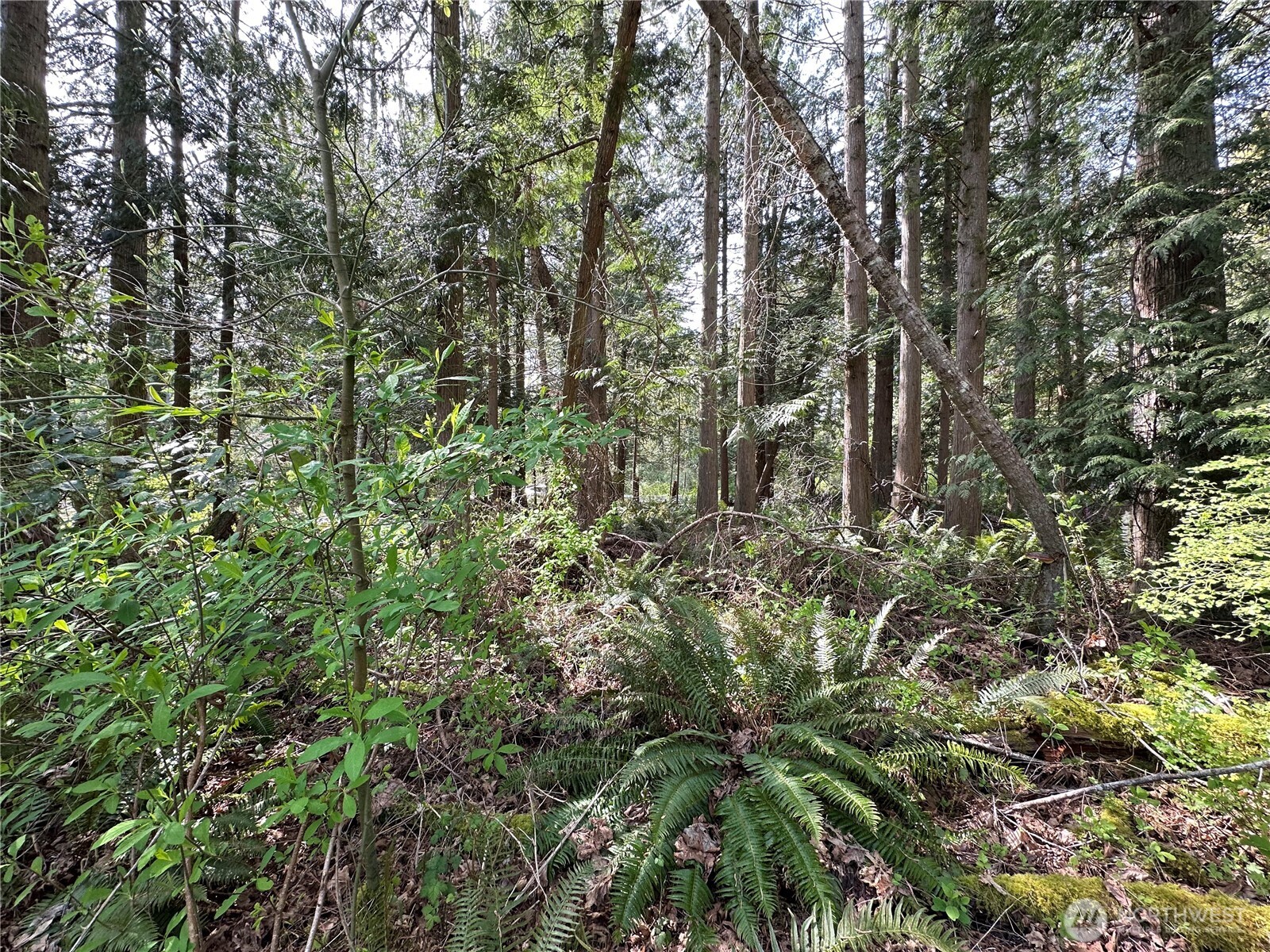 0 Lot 9 Tyee Drive Property Photo 5