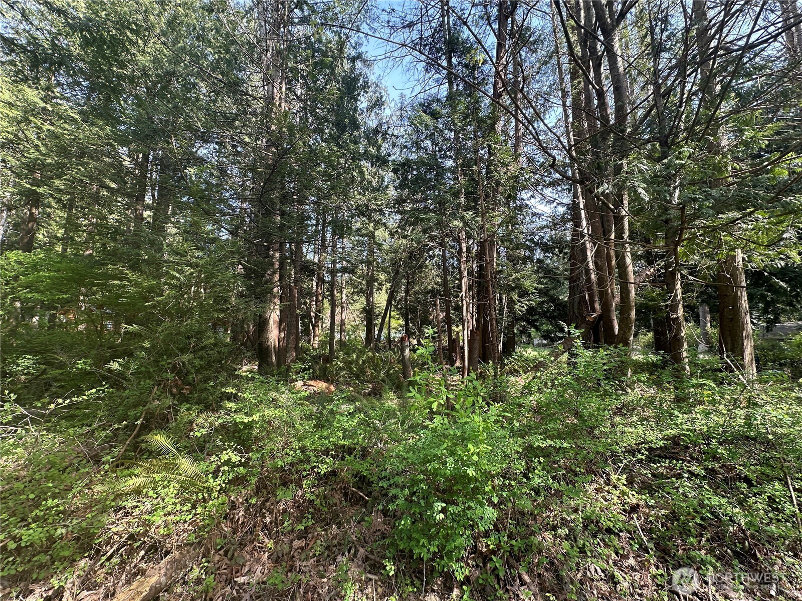 0 Lot 9 Tyee Drive Property Photo 7