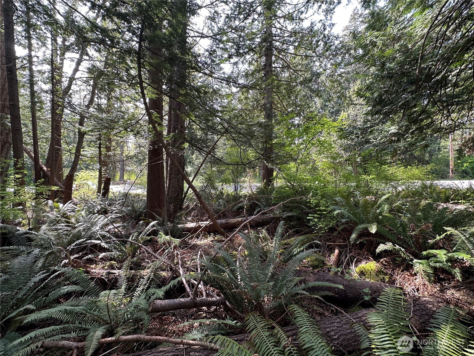 0 Lot 9 Tyee Drive Property Photo 10