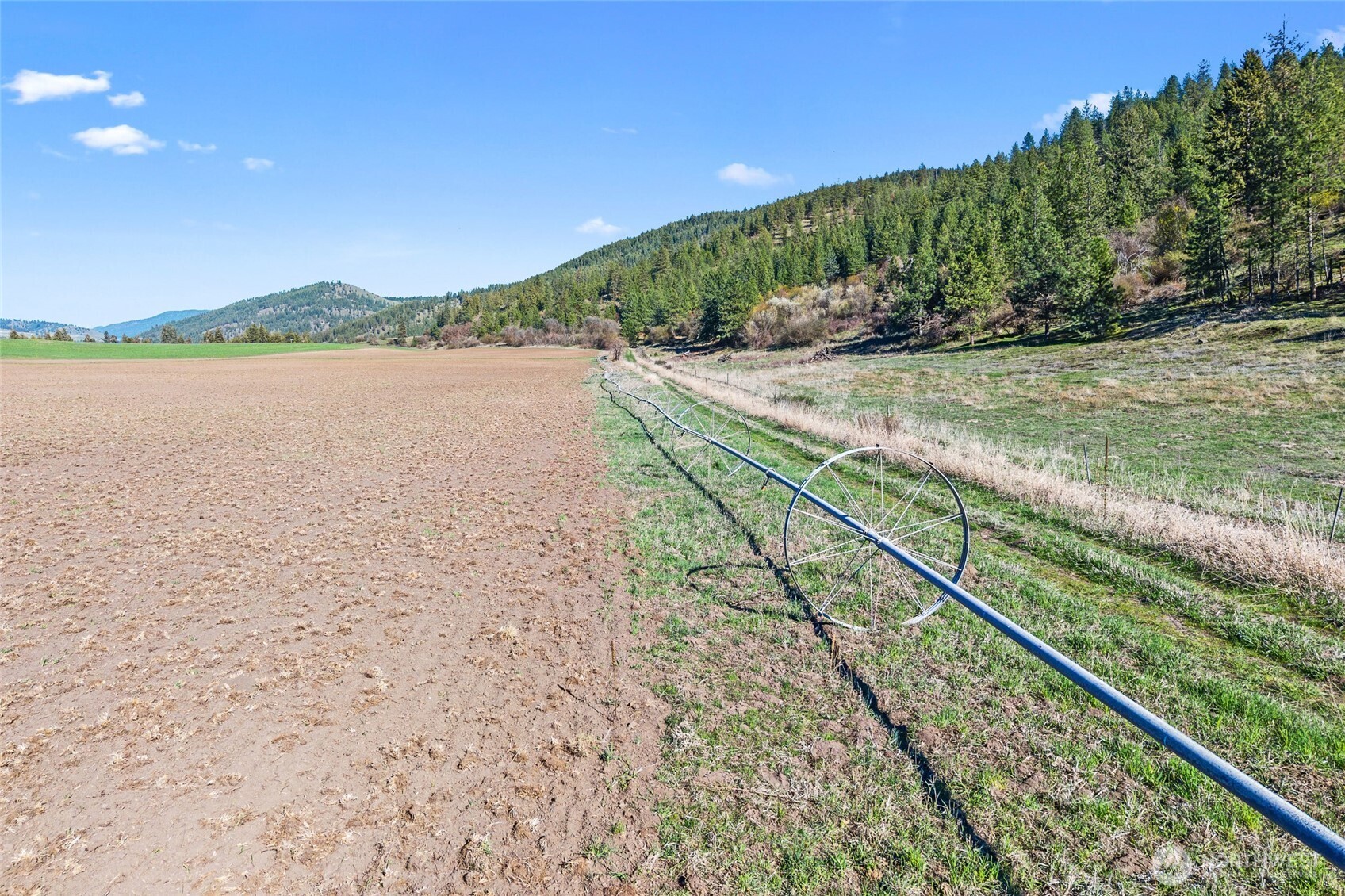 37 Xx Cedonia-addy Road Property Photo 9