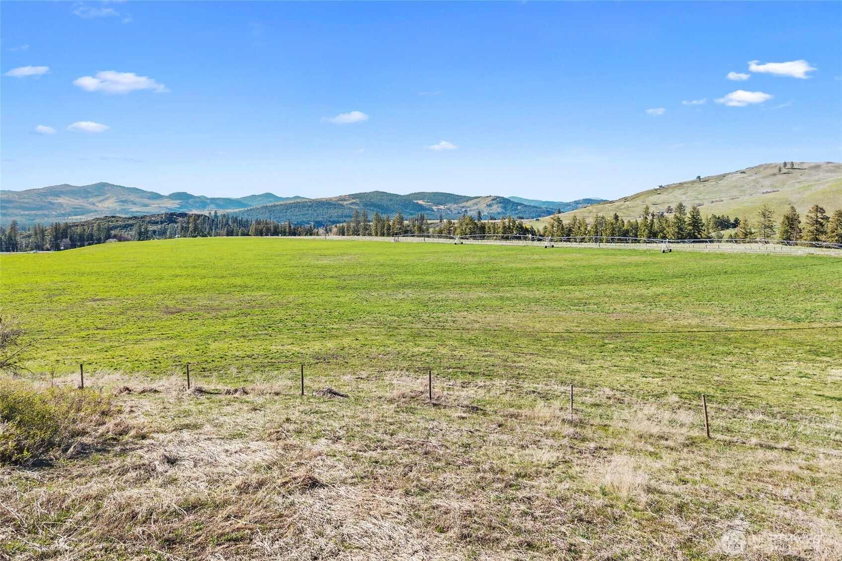 37 Xx Cedonia-addy Road Property Photo 11